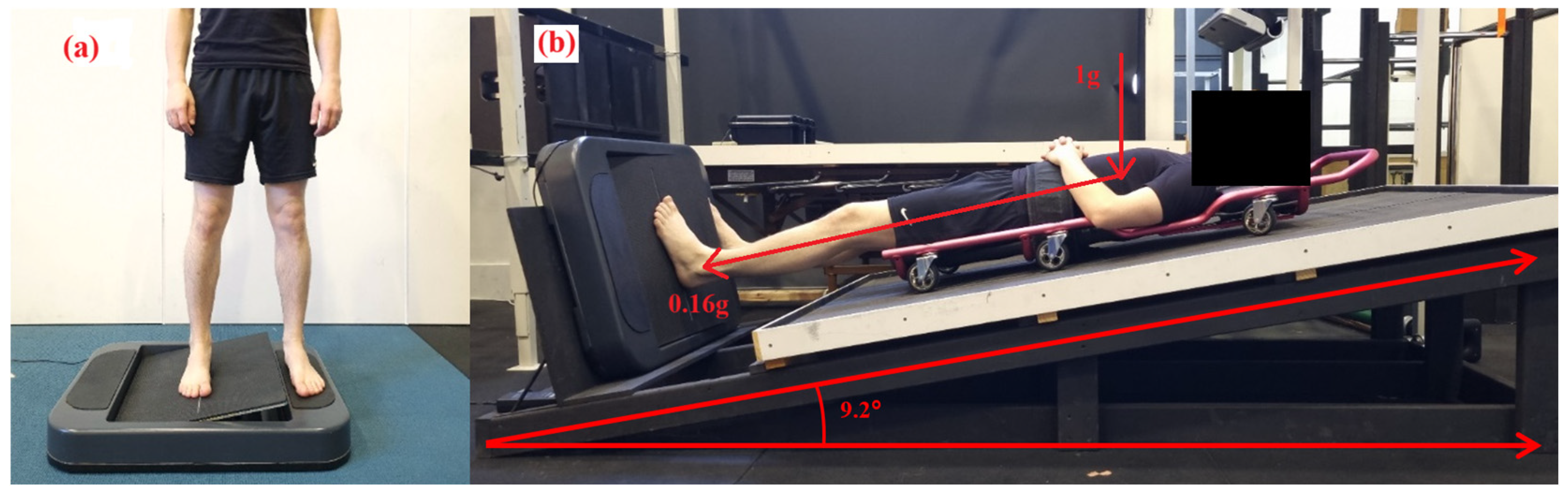 Brainsci 15 00443 g001