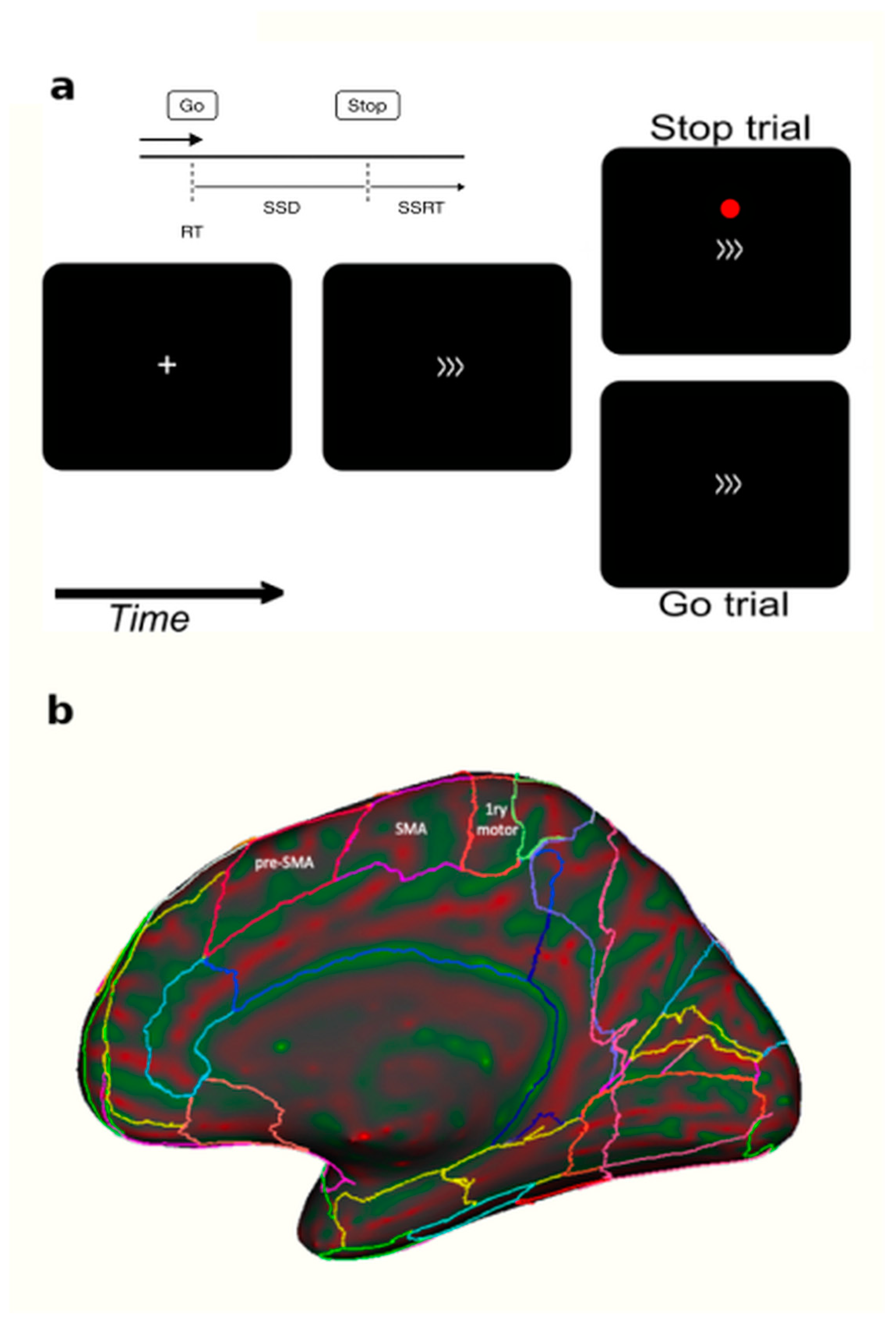 Brainsci 15 00448 g001