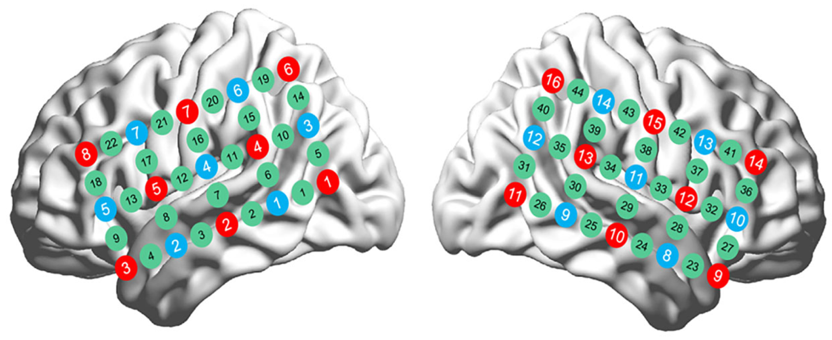 Brainsci 15 00451 g003