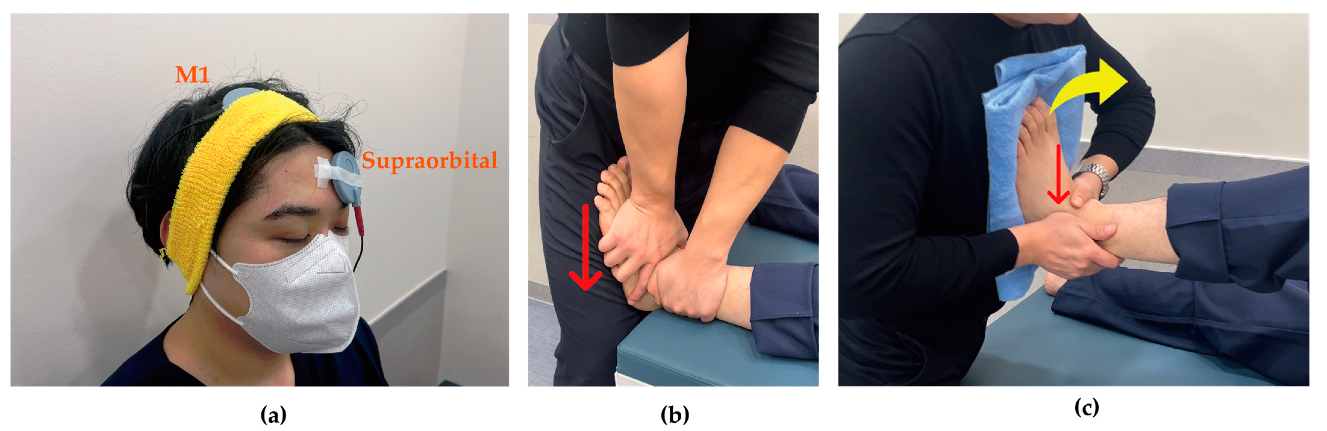 Brainsci 15 00458 g002