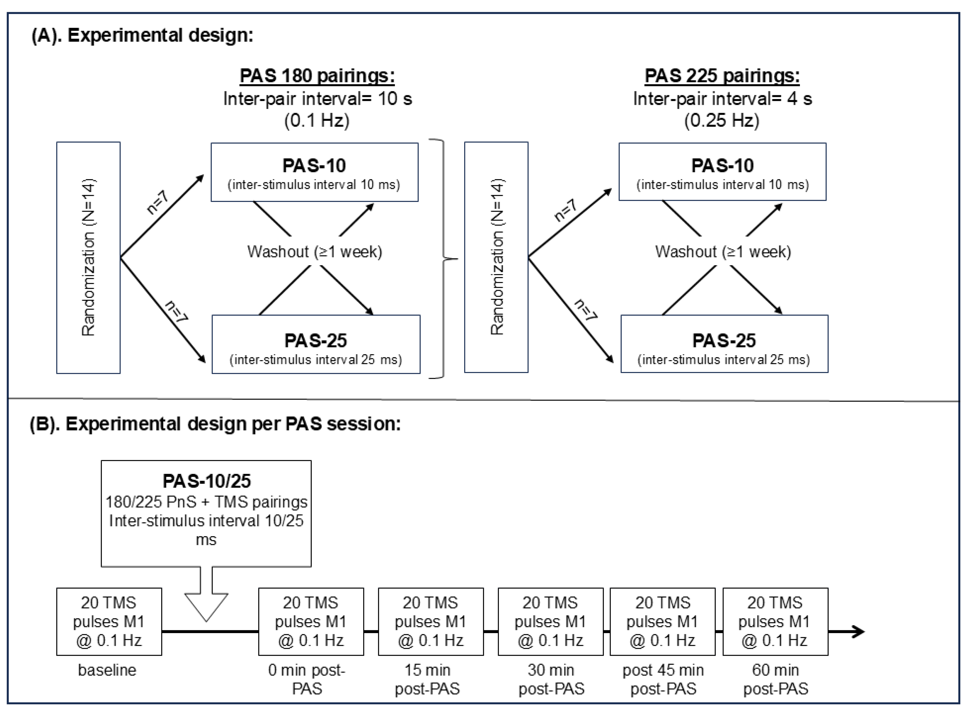 Brainsci 15 00461 g001