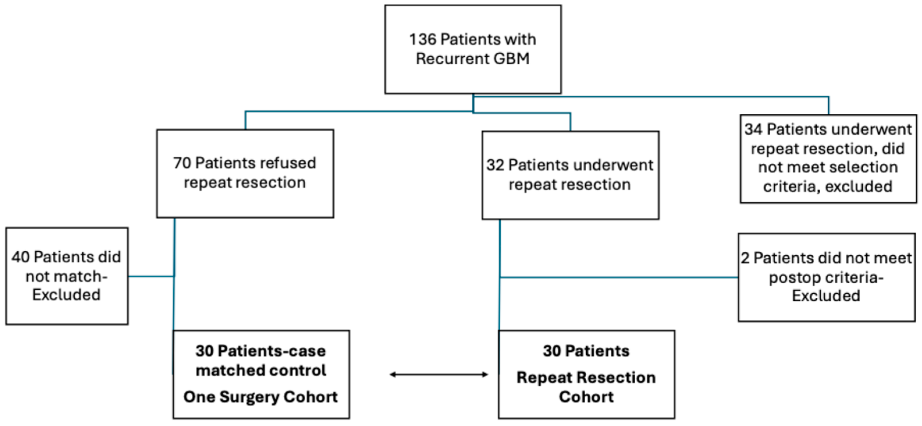 Brainsci 15 00463 g001