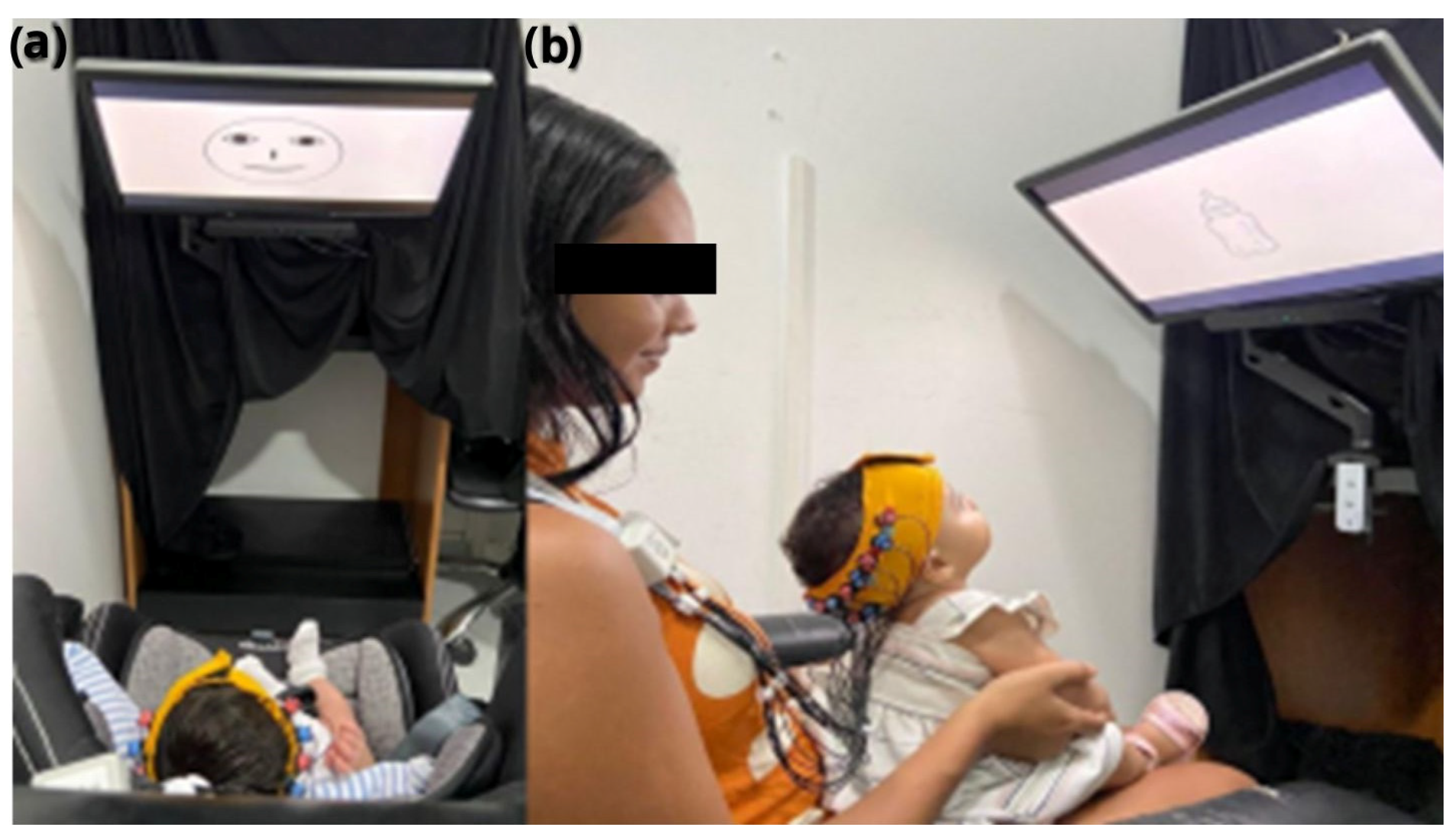 Brainsci 15 00469 g001