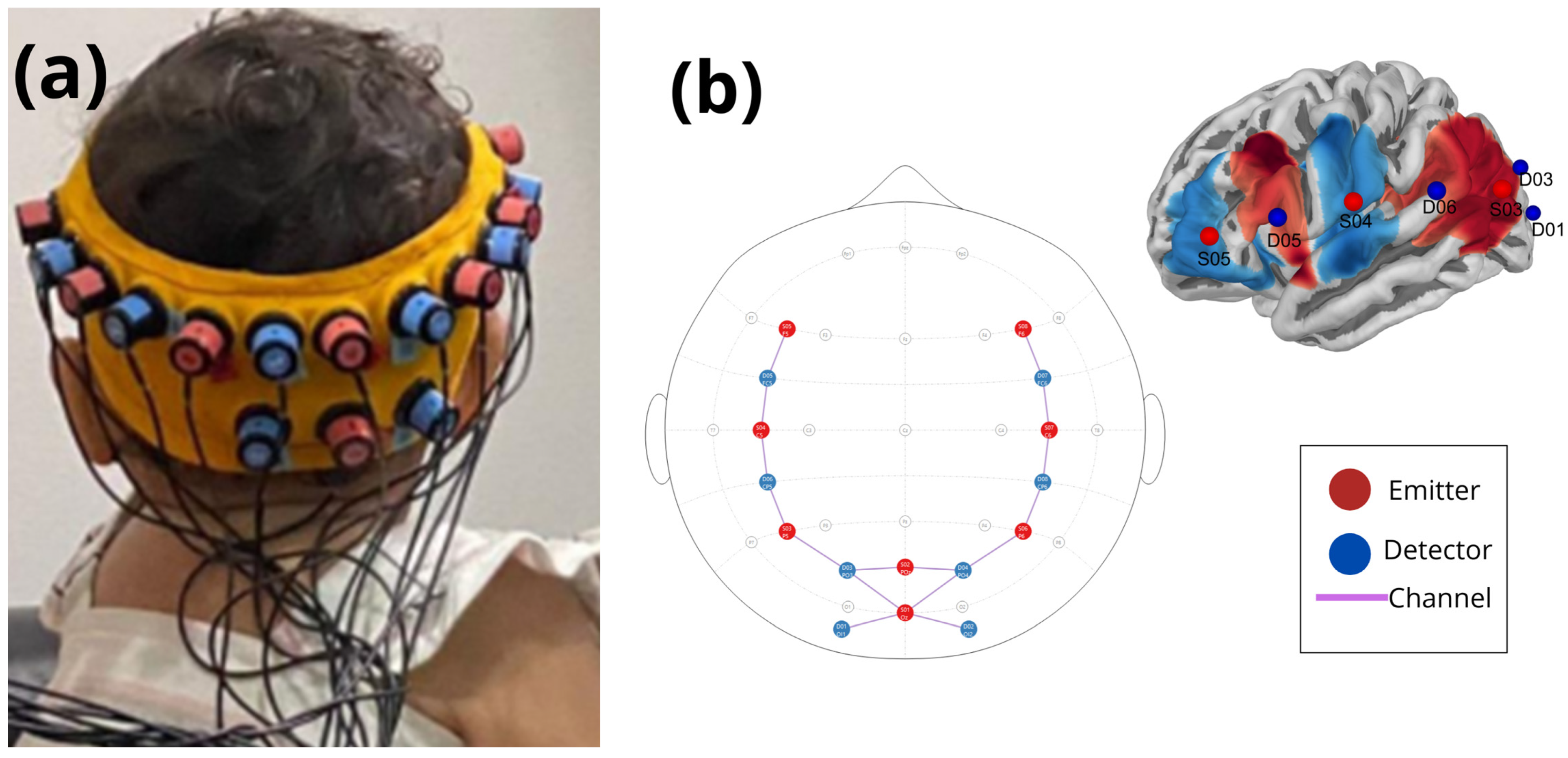Brainsci 15 00469 g002