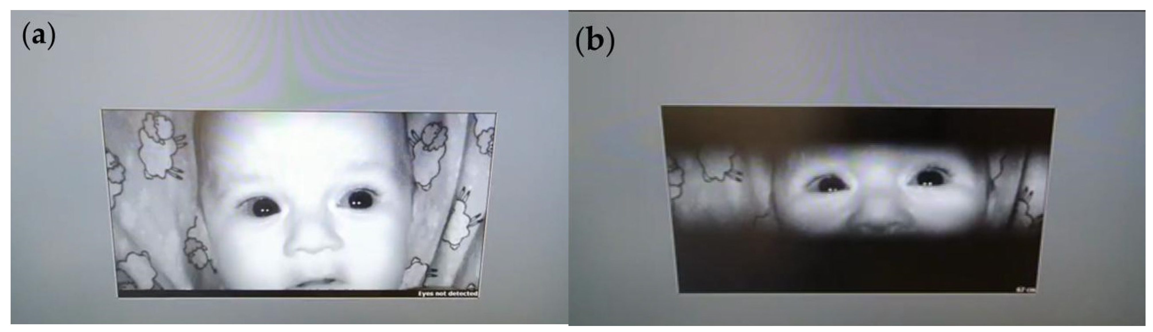Brainsci 15 00469 g003