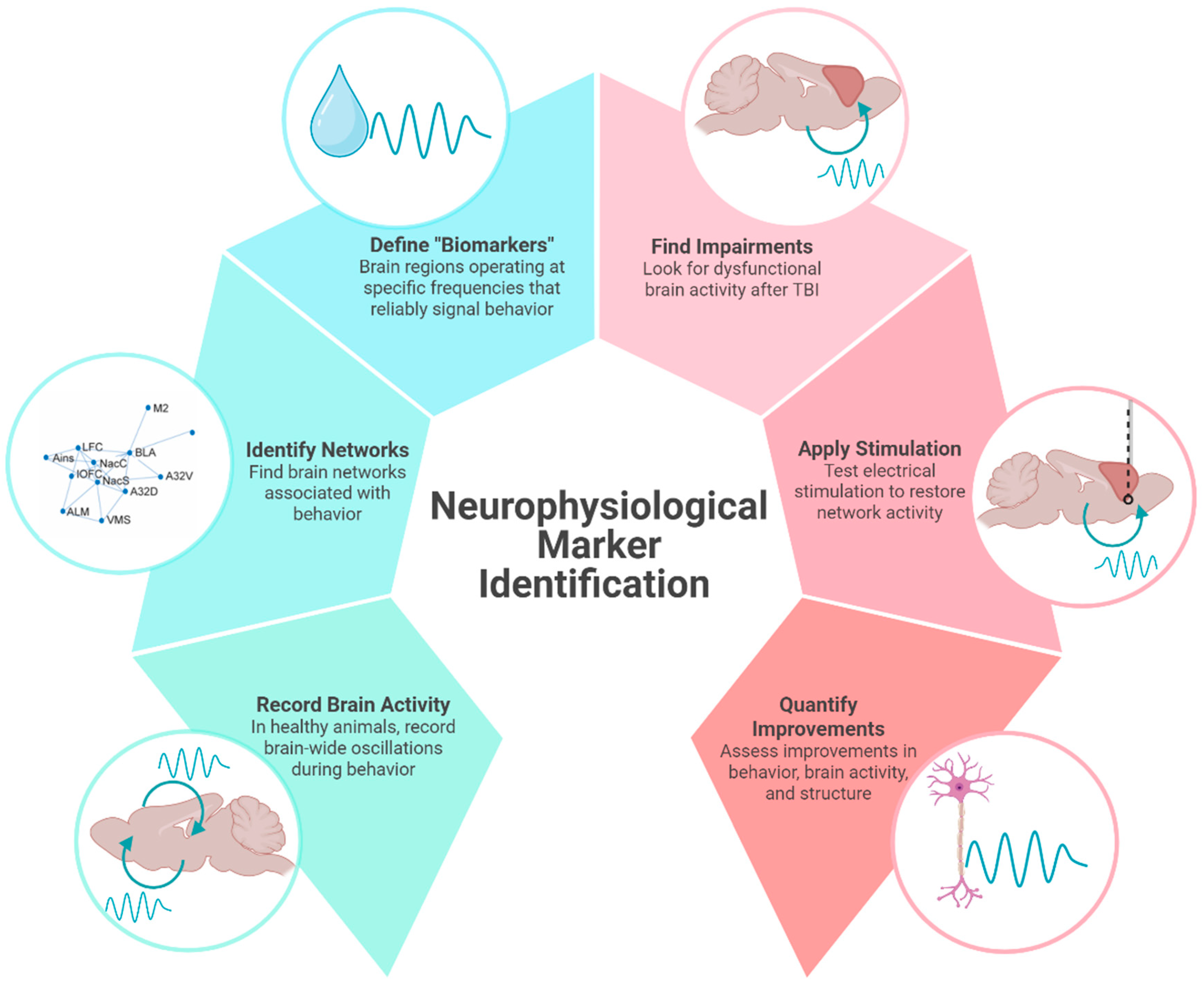 Brainsci 15 00471 g001