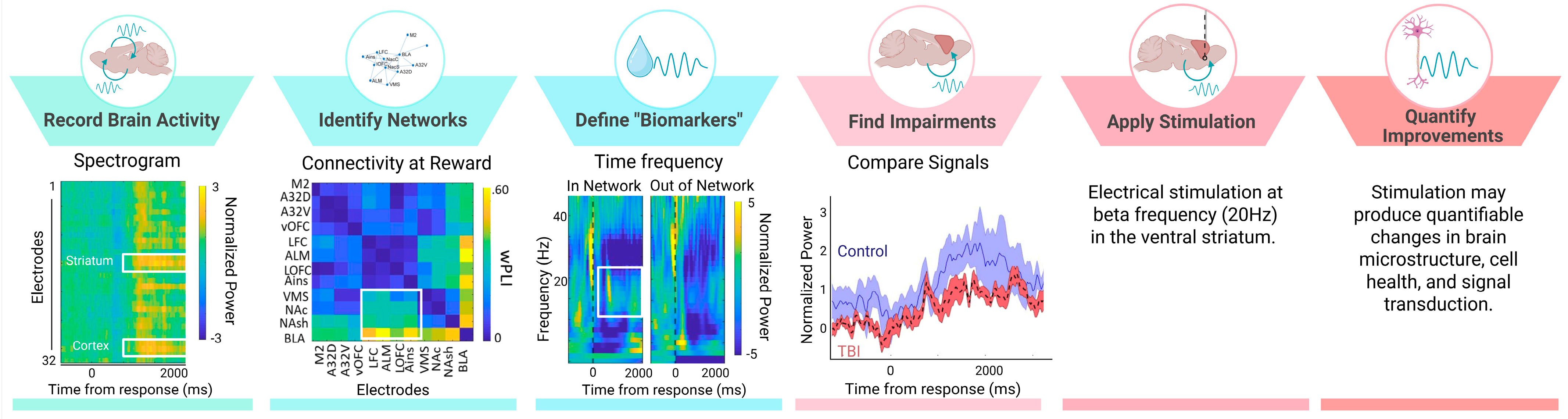 Brainsci 15 00471 g002