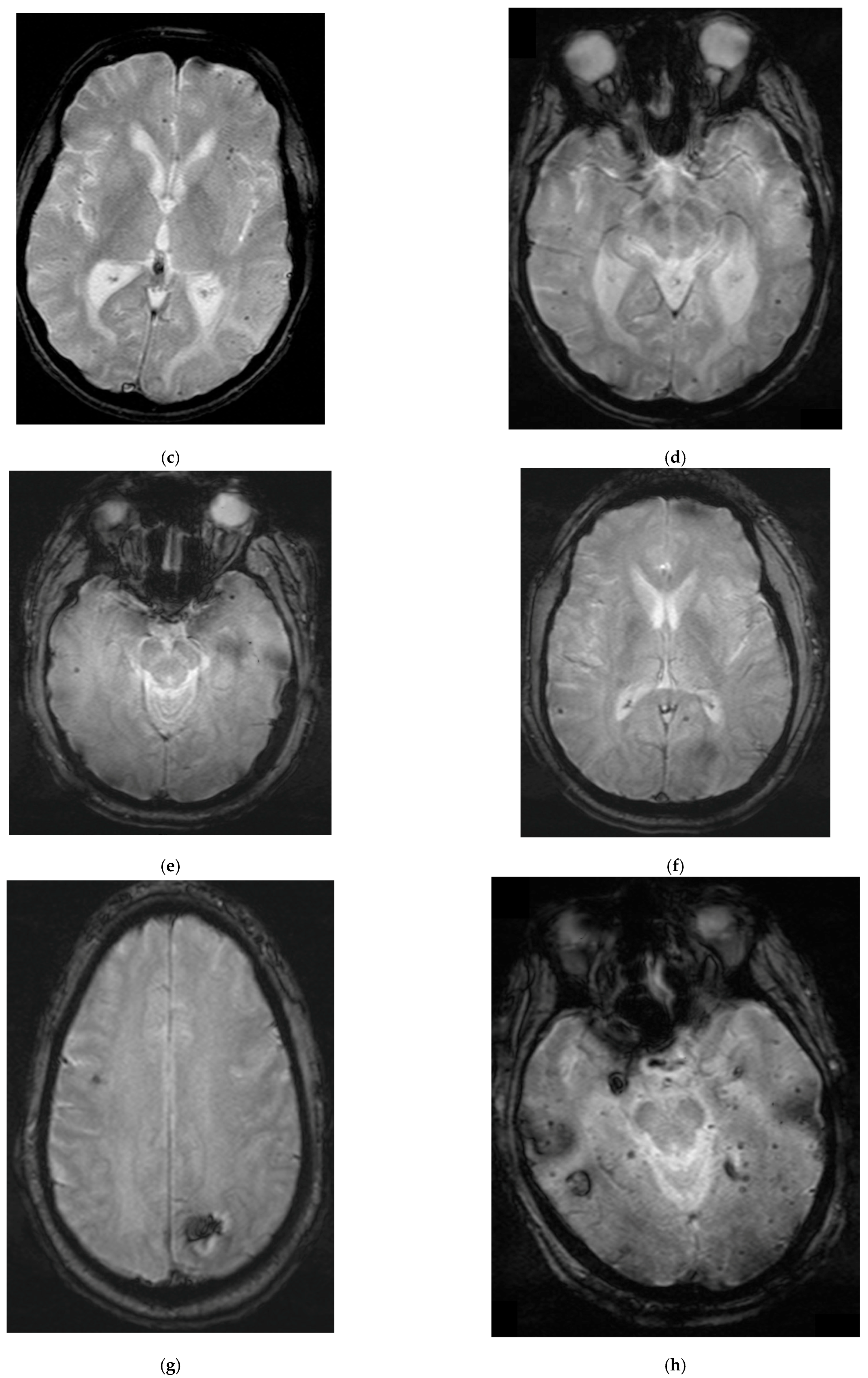 Brainsci 15 00472 g001b