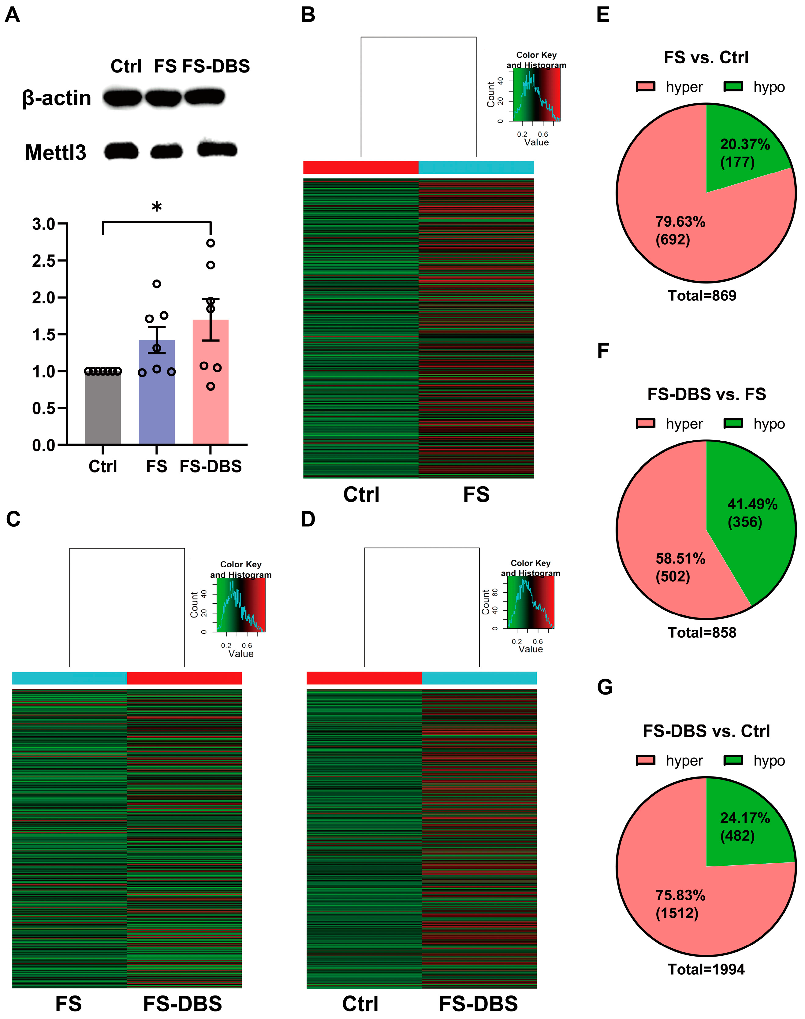 Brainsci 15 00473 g002