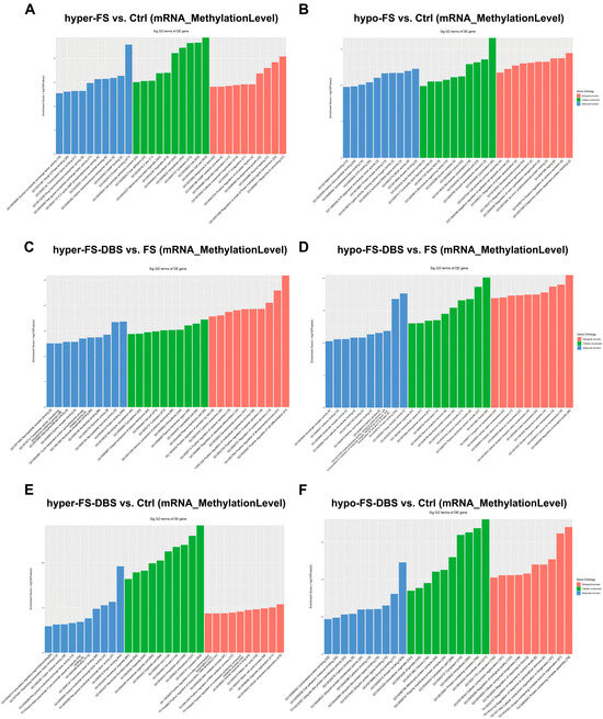 Epitranscriptomic Analysis of the Ventral Hippocampus in a