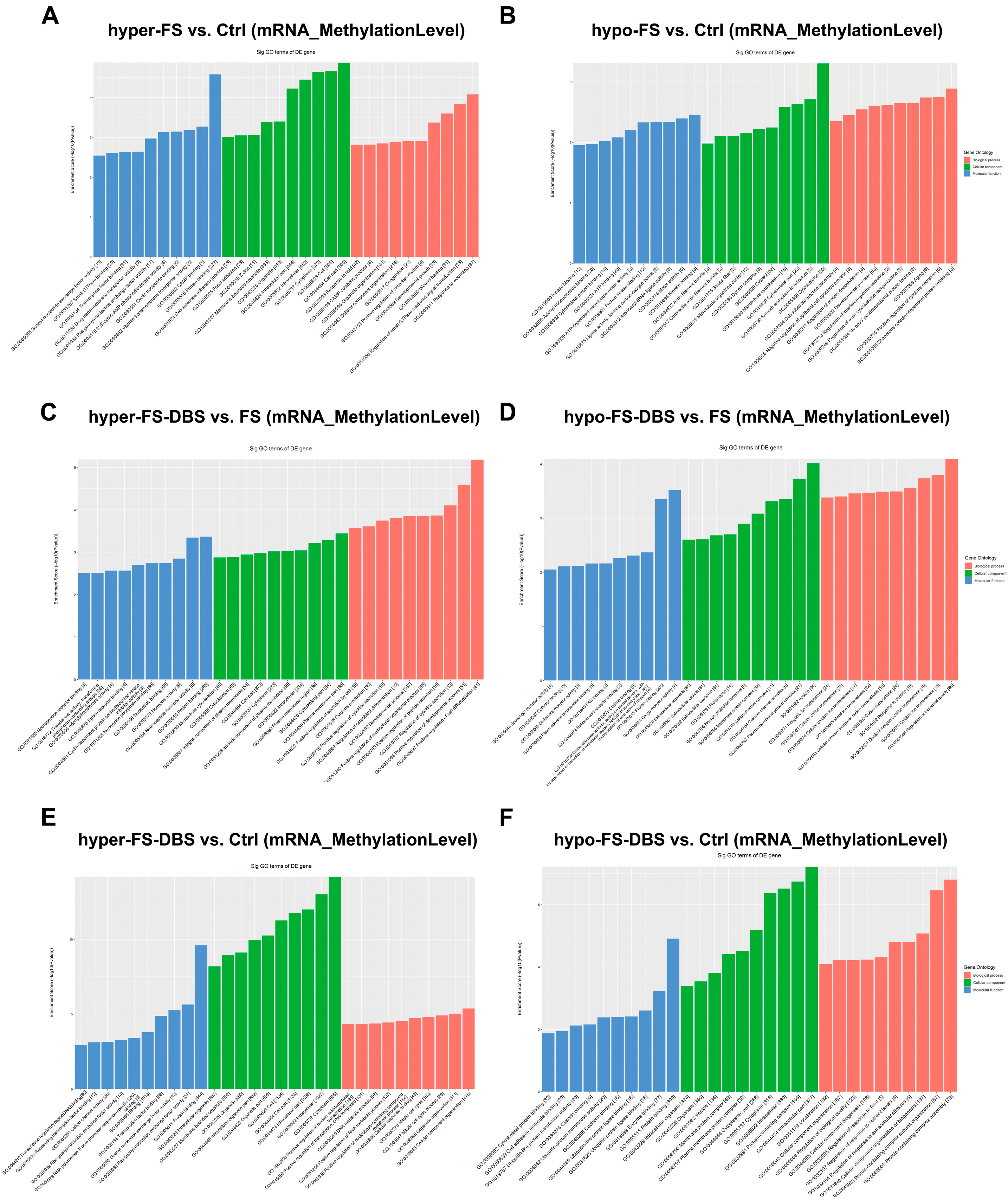 Brainsci 15 00473 g003