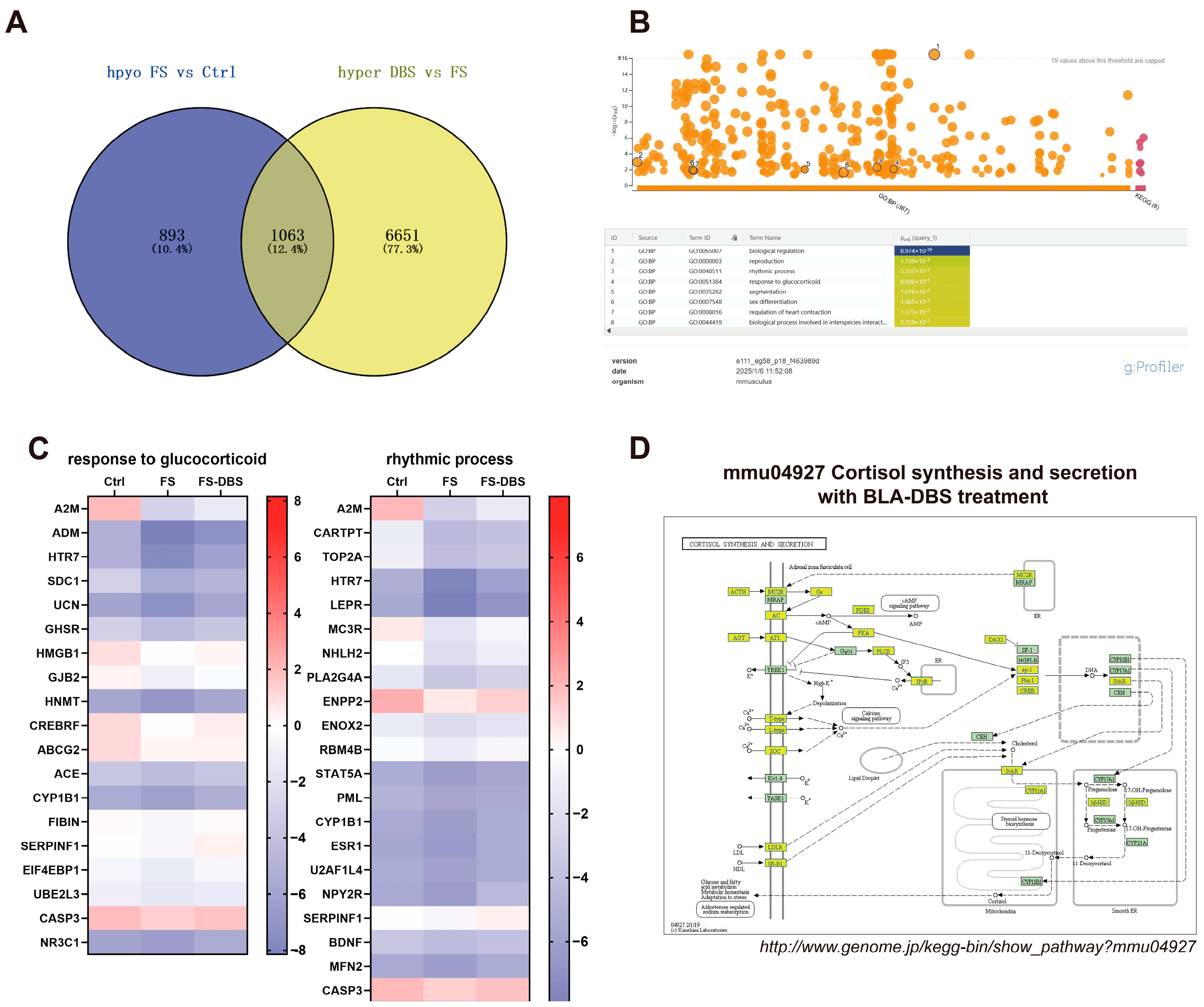 Brainsci 15 00473 g005