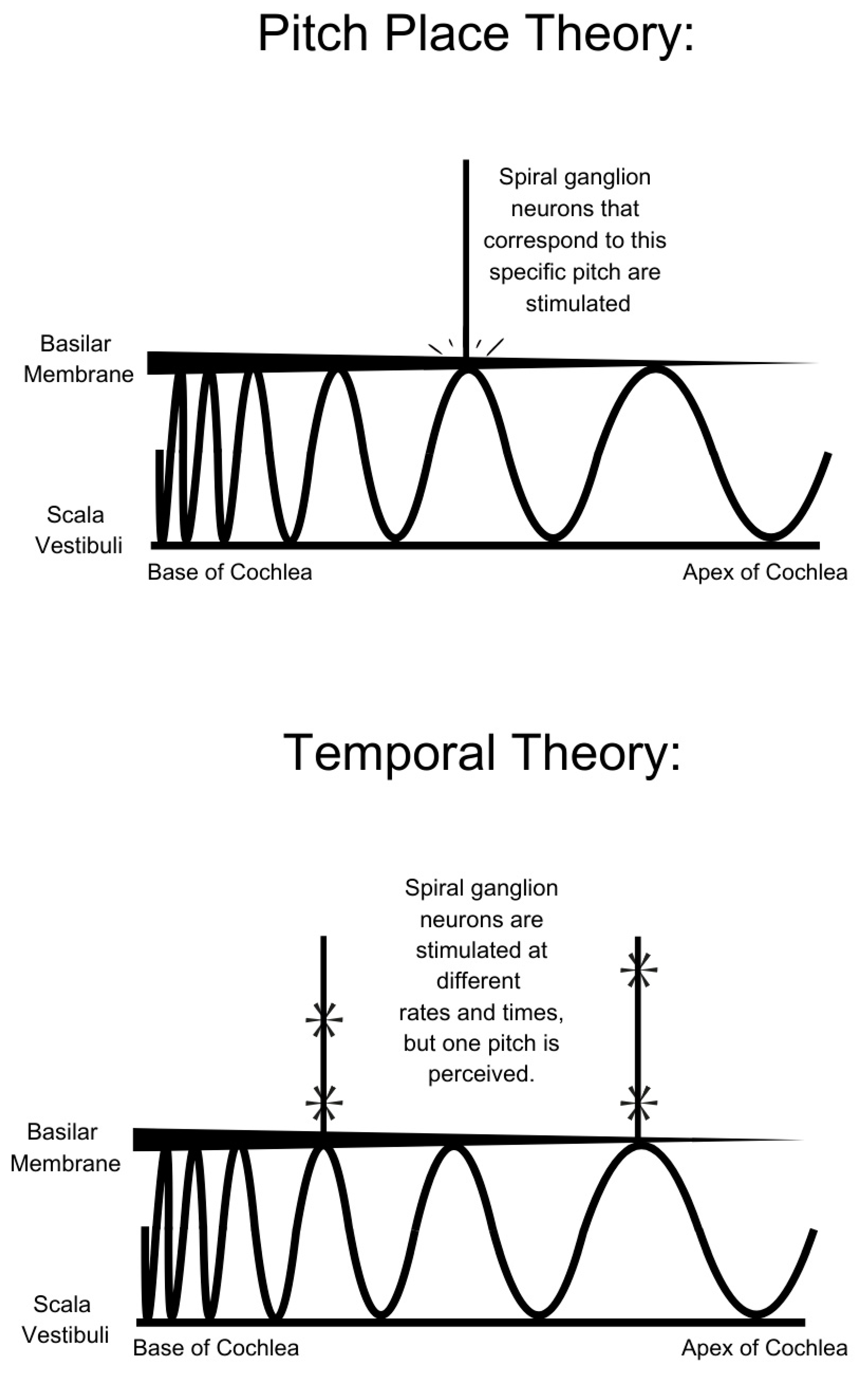 Brainsci 15 00479 g002