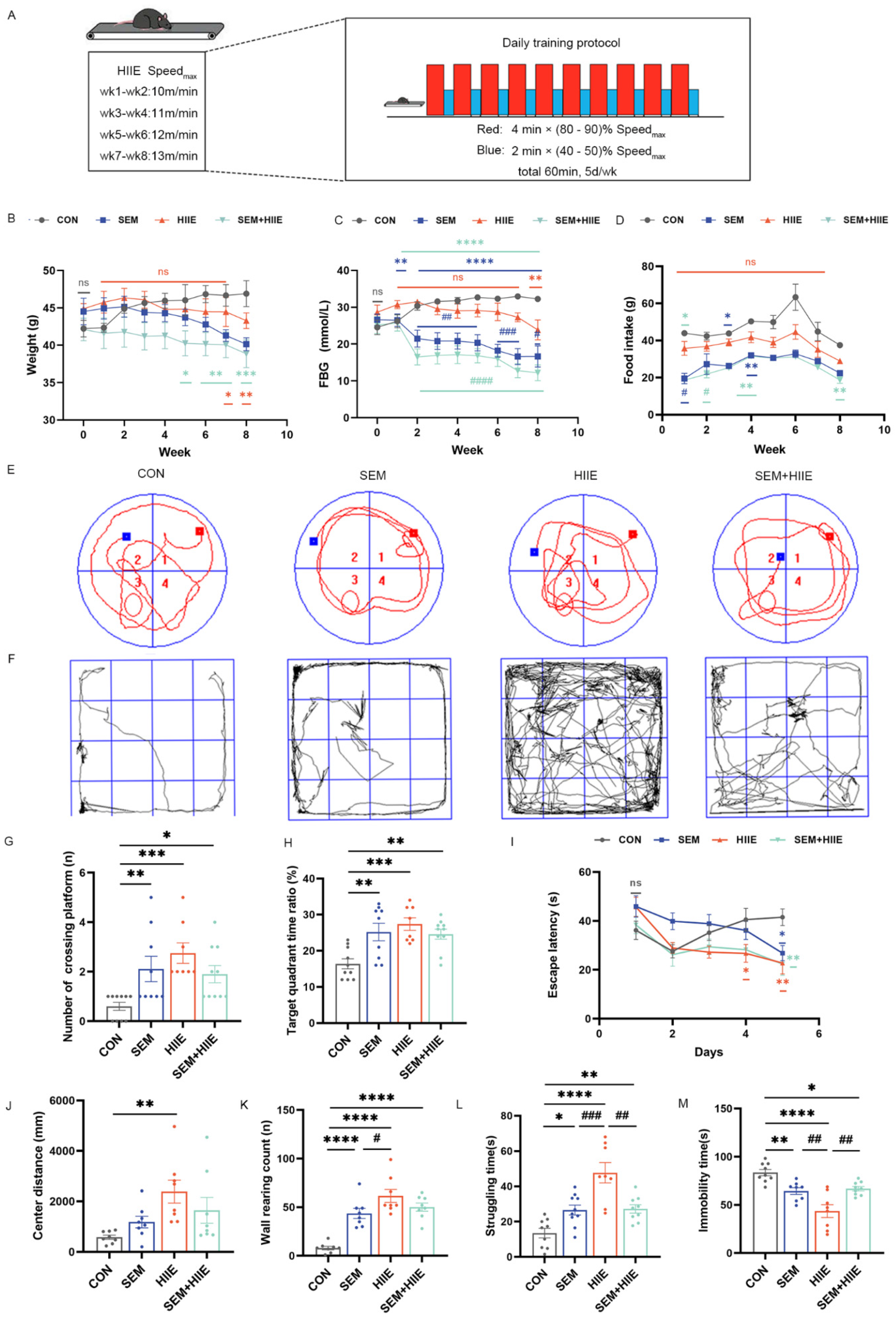 Brainsci 15 00480 g001