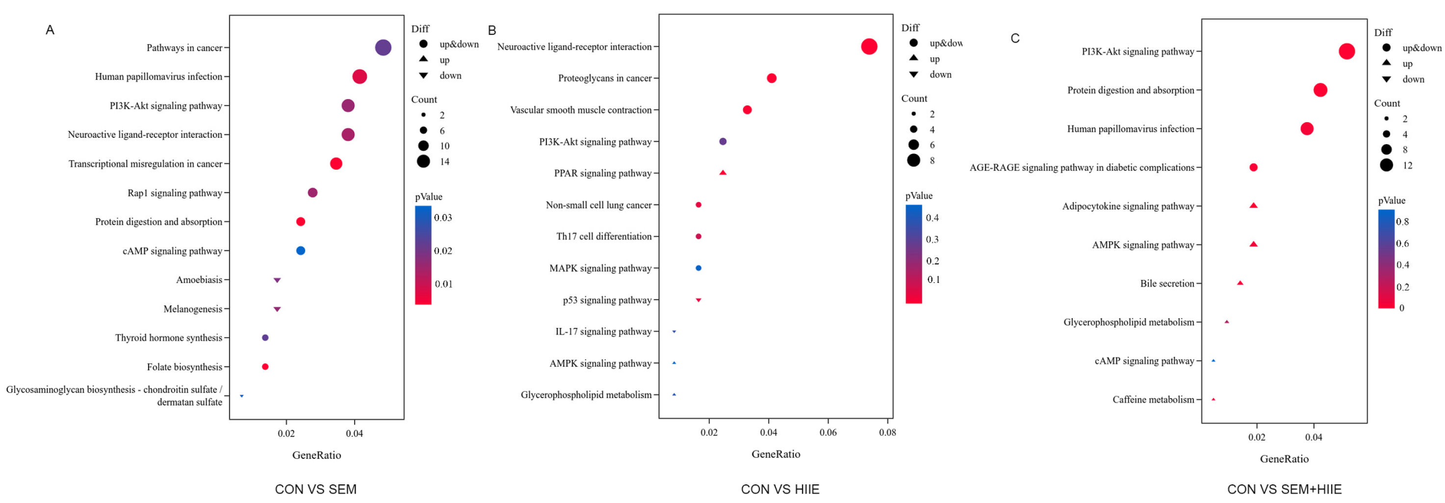 Brainsci 15 00480 g004