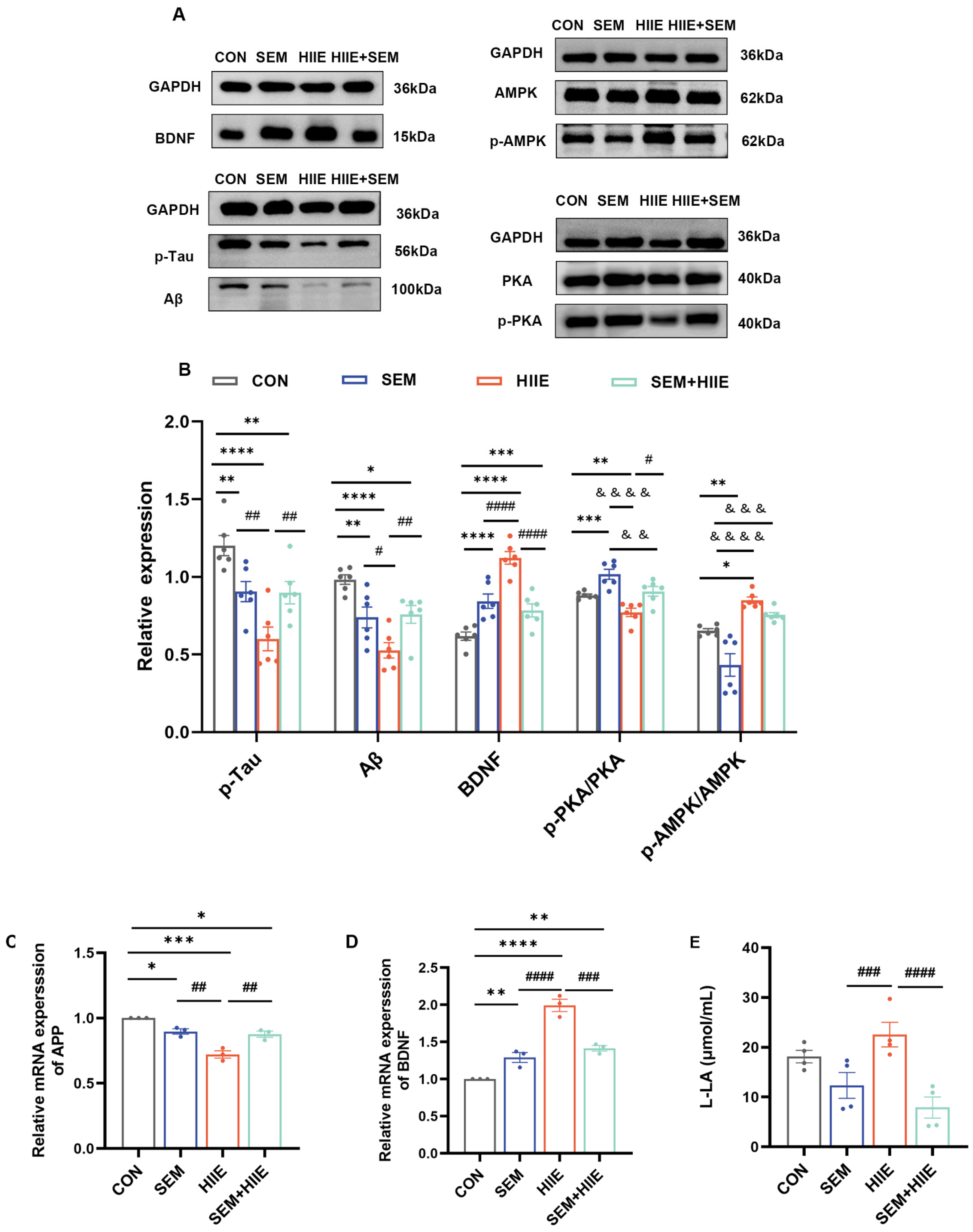 Brainsci 15 00480 g005