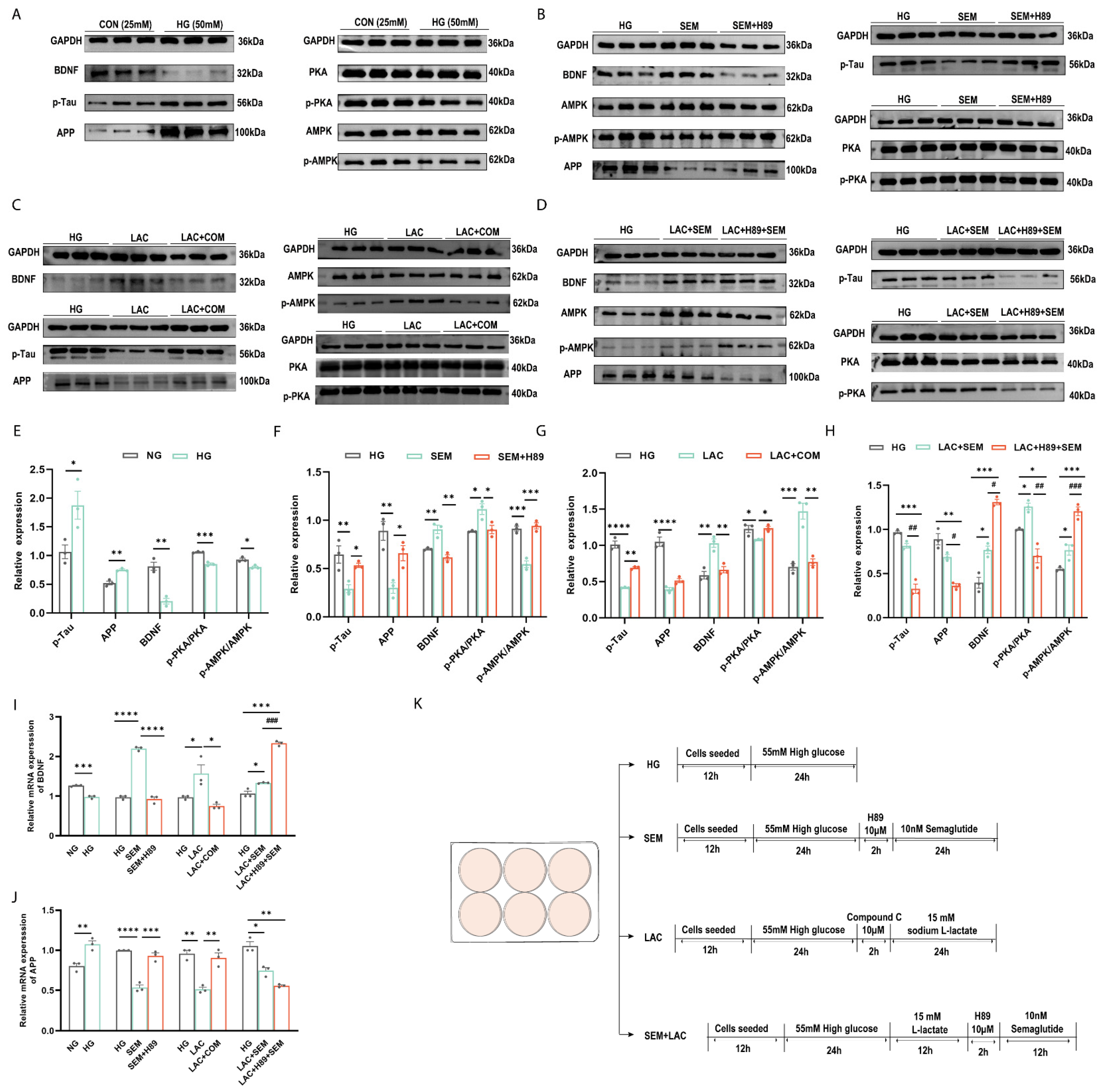 Brainsci 15 00480 g006