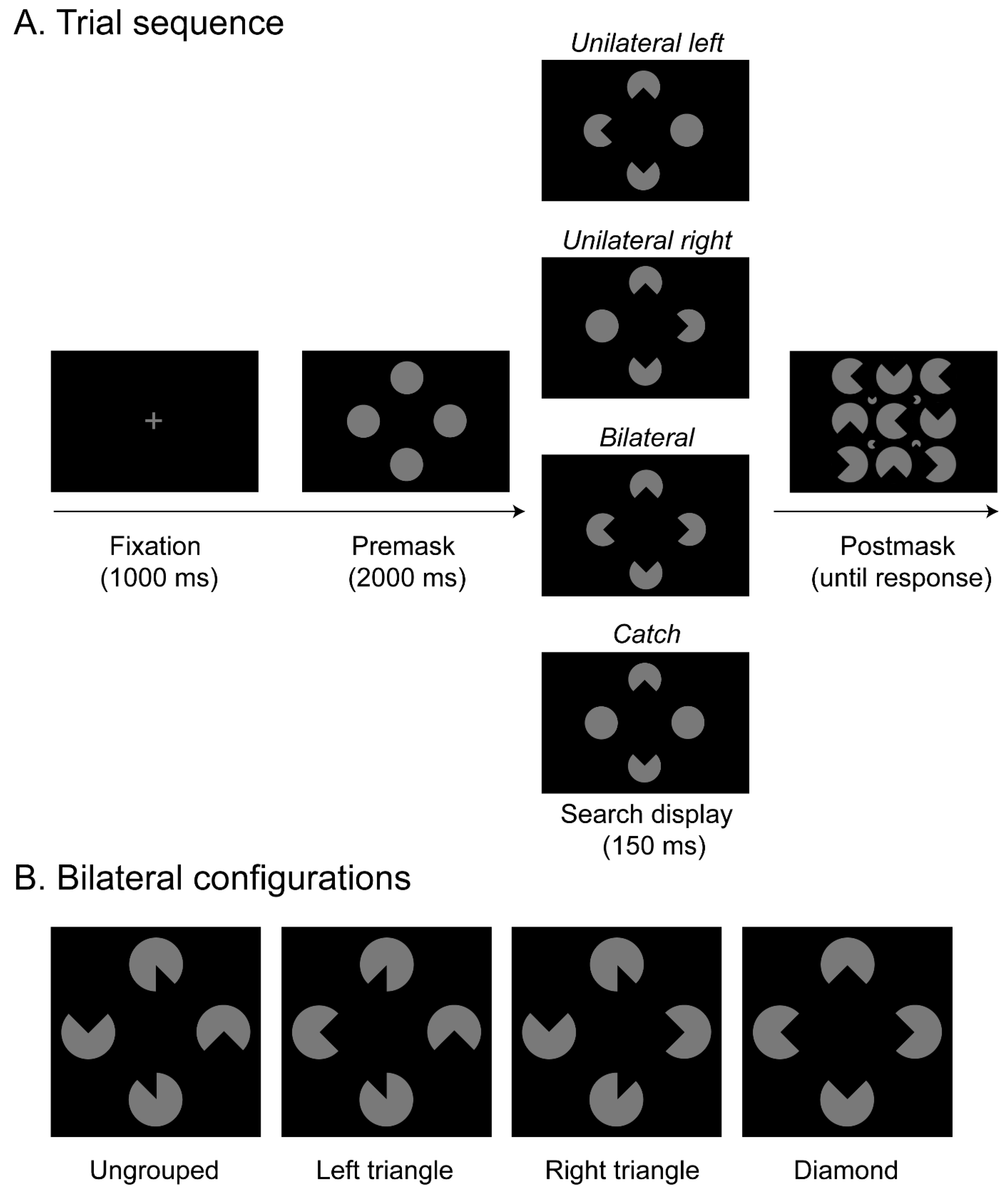 Brainsci 15 00483 g001
