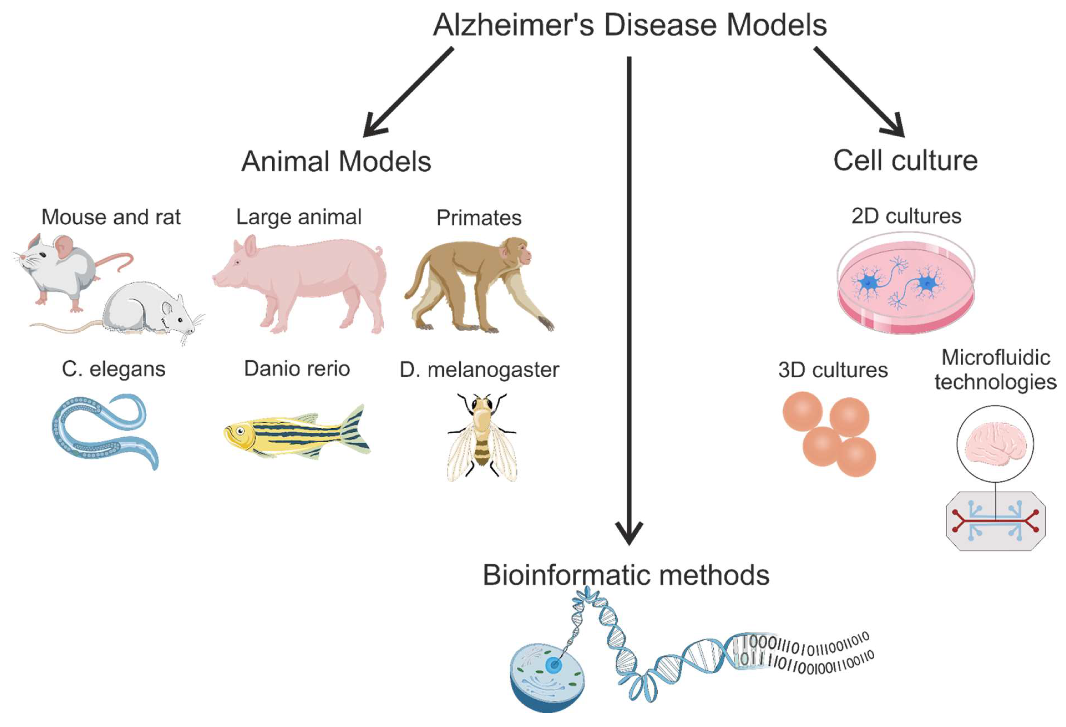 Brainsci 15 00486 g001
