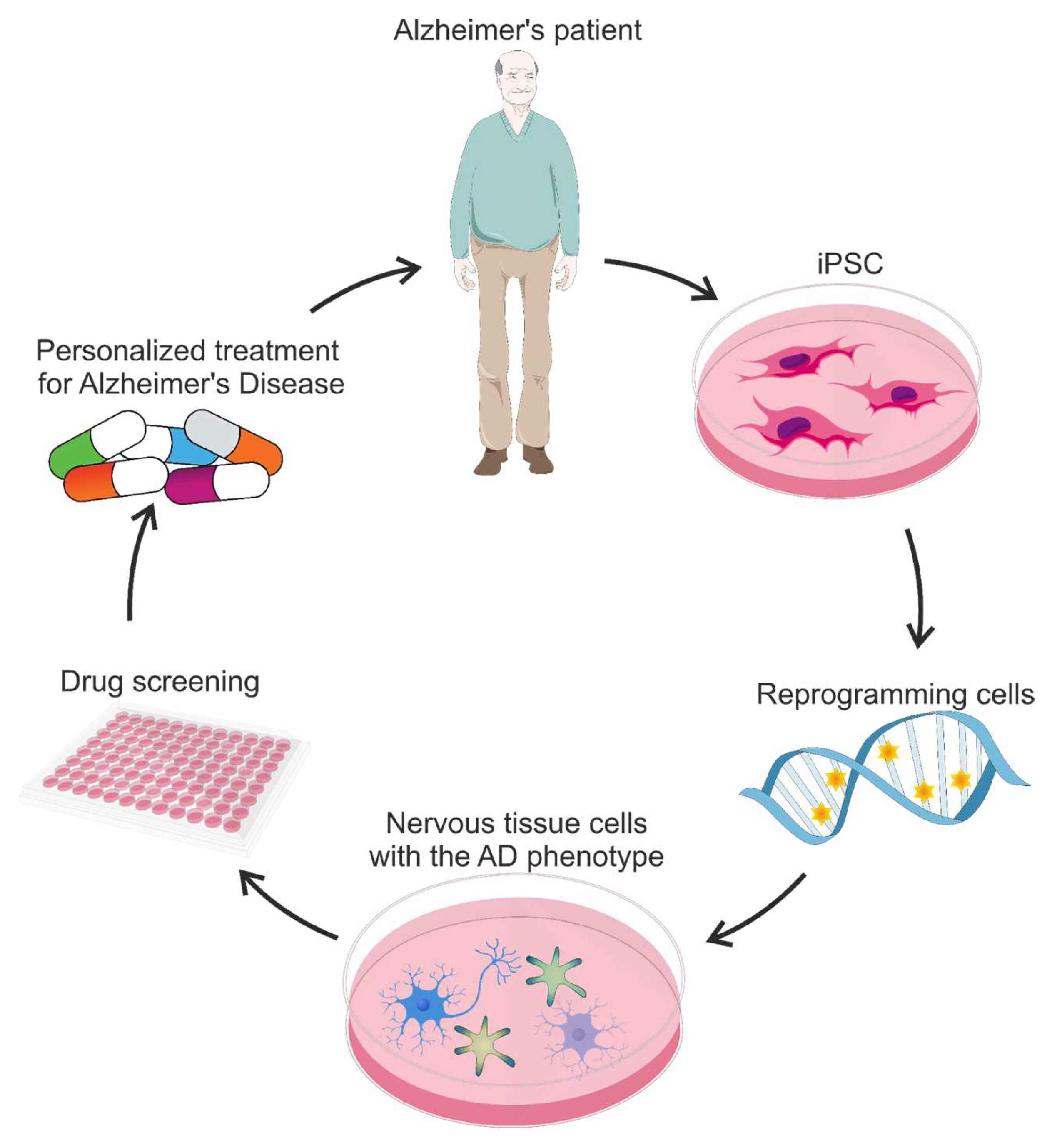 Brainsci 15 00486 g004