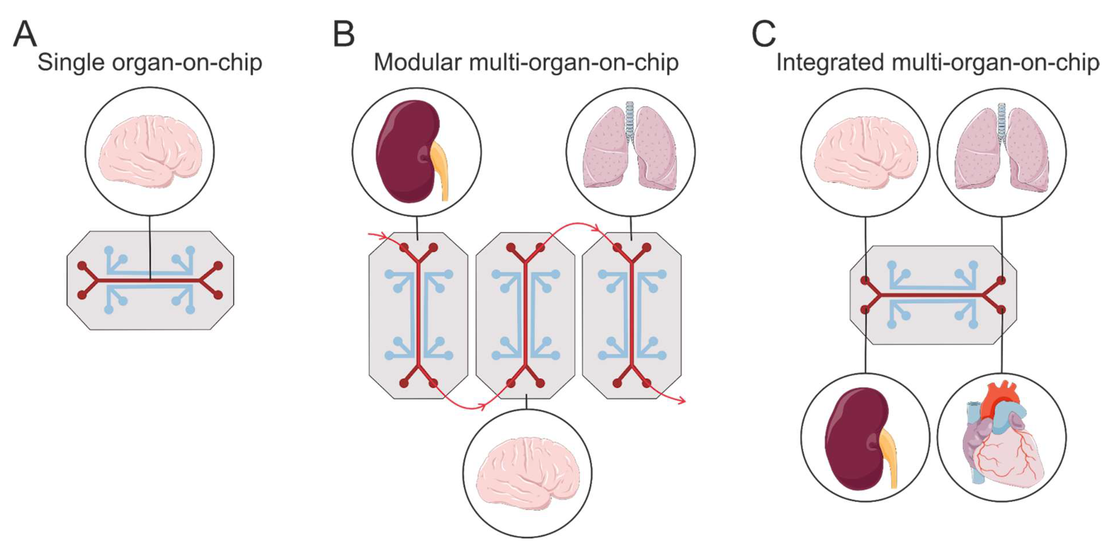 Brainsci 15 00486 g005
