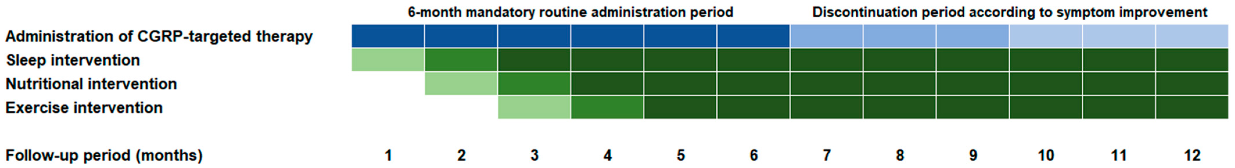 Brainsci 15 00493 g002