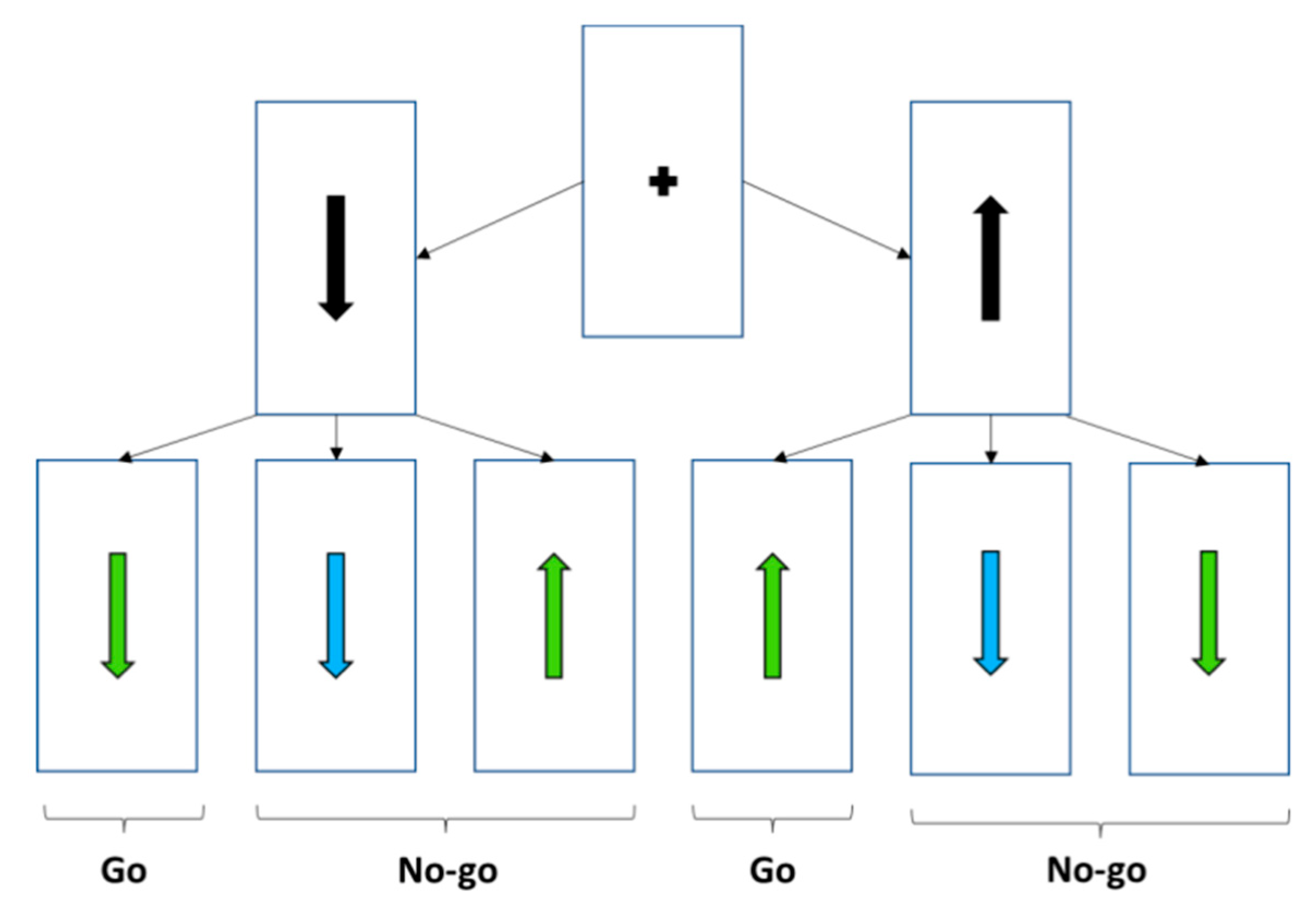 Brainsci 15 00497 g001