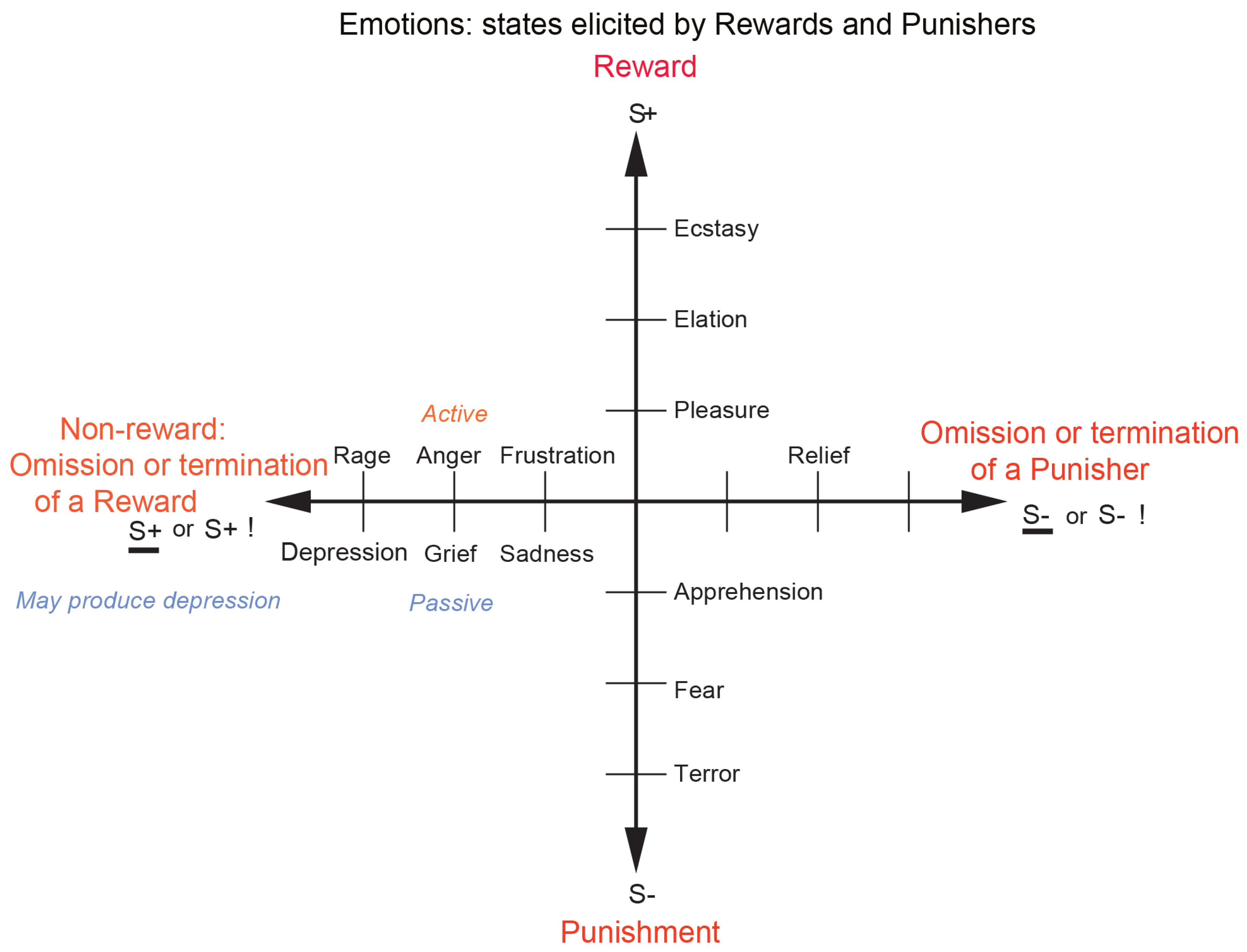 Brainsci 15 00507 g001