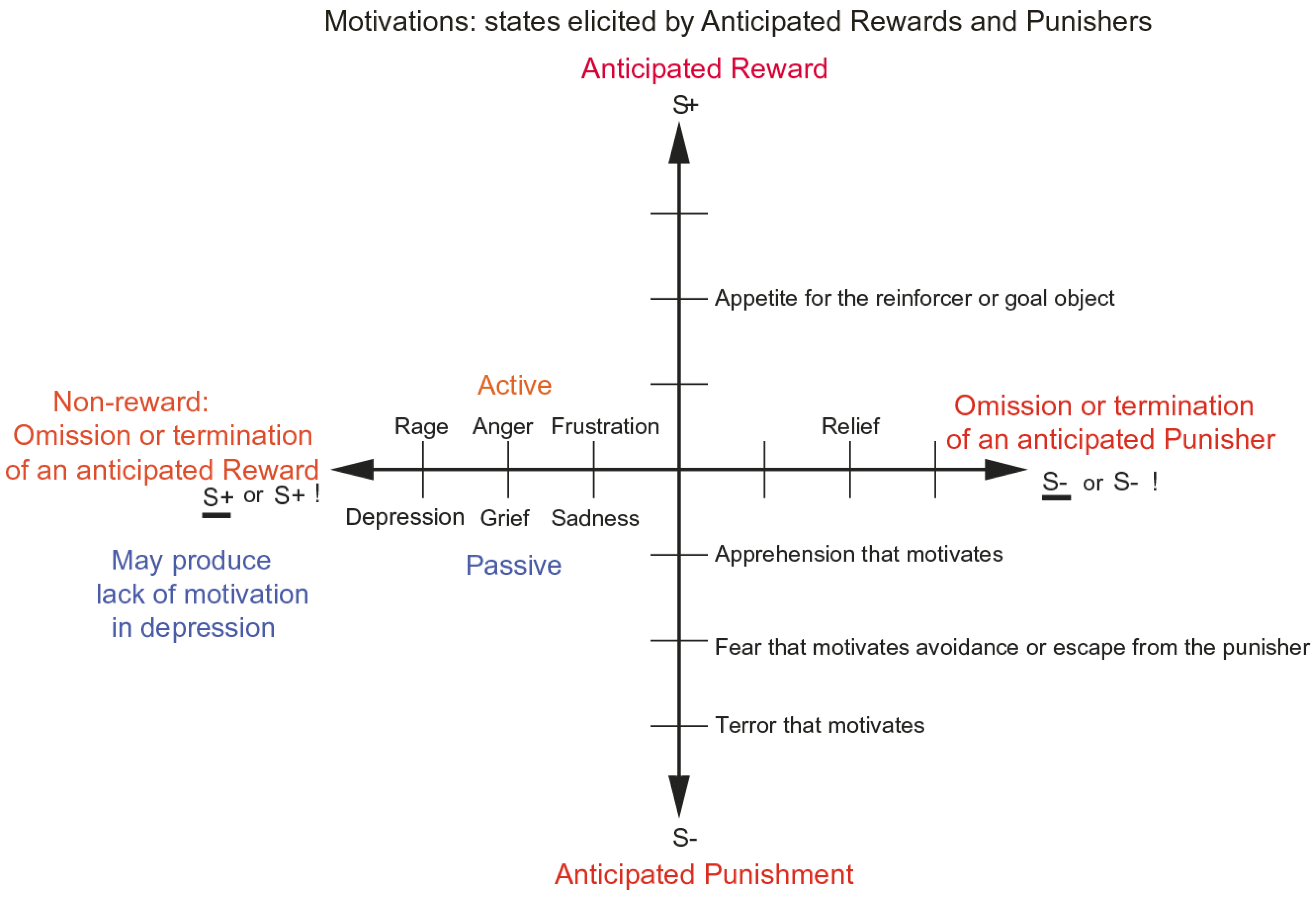Brainsci 15 00507 g005