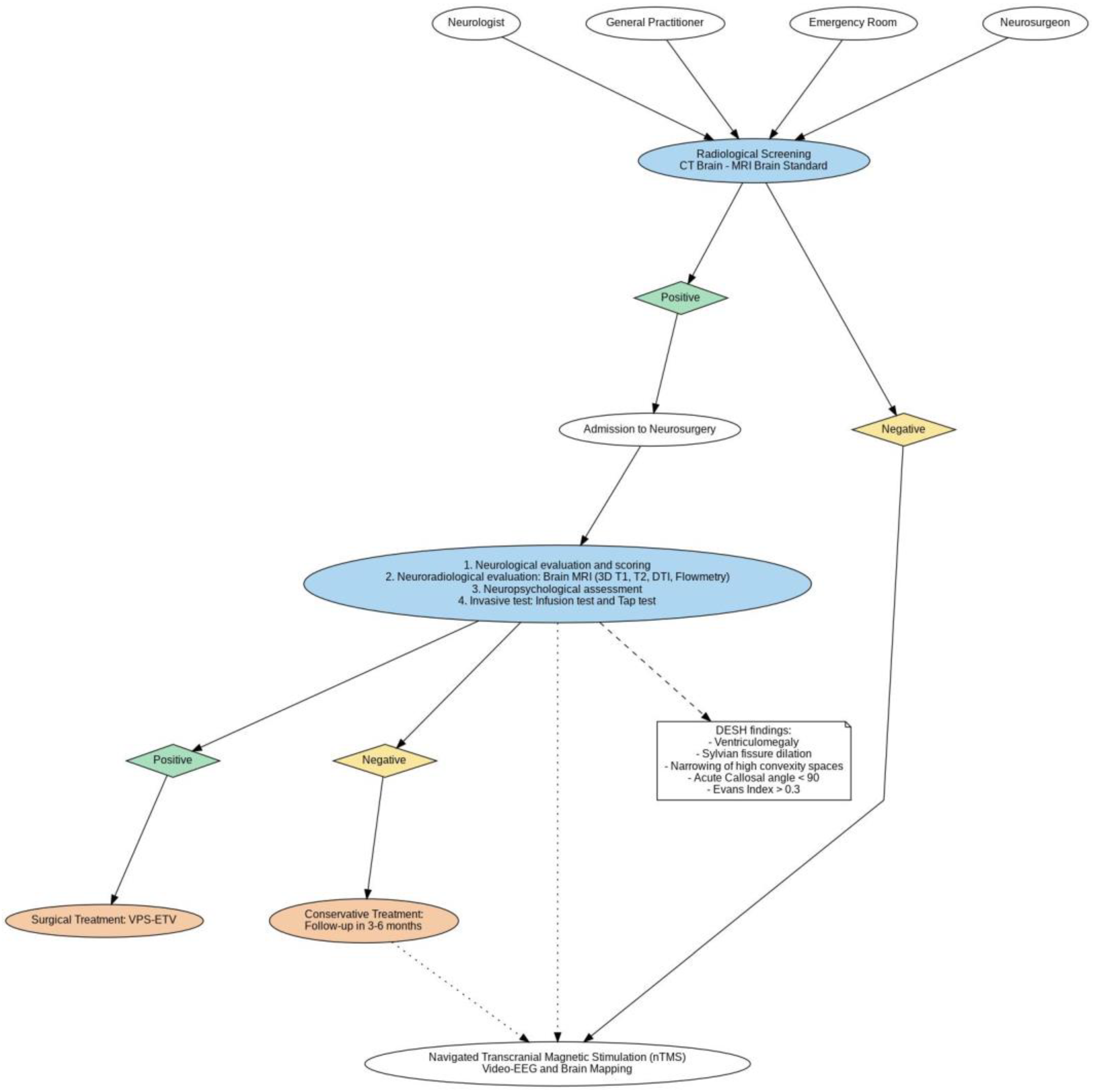 Brainsci 15 00508 g001