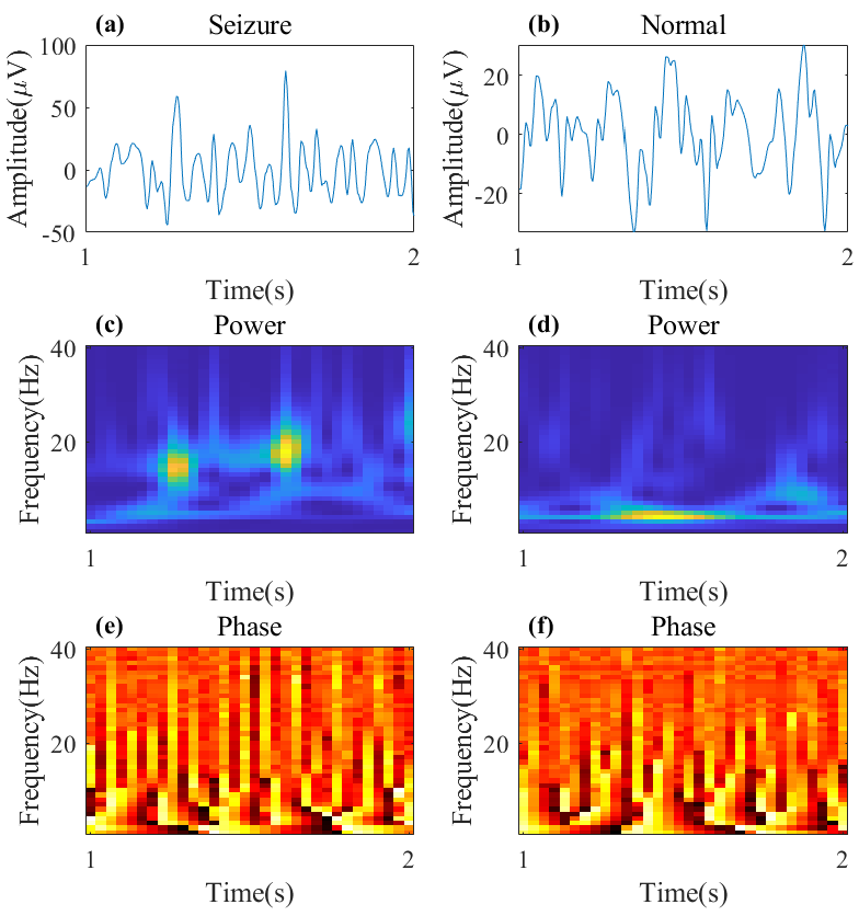Brainsci 15 00509 g002