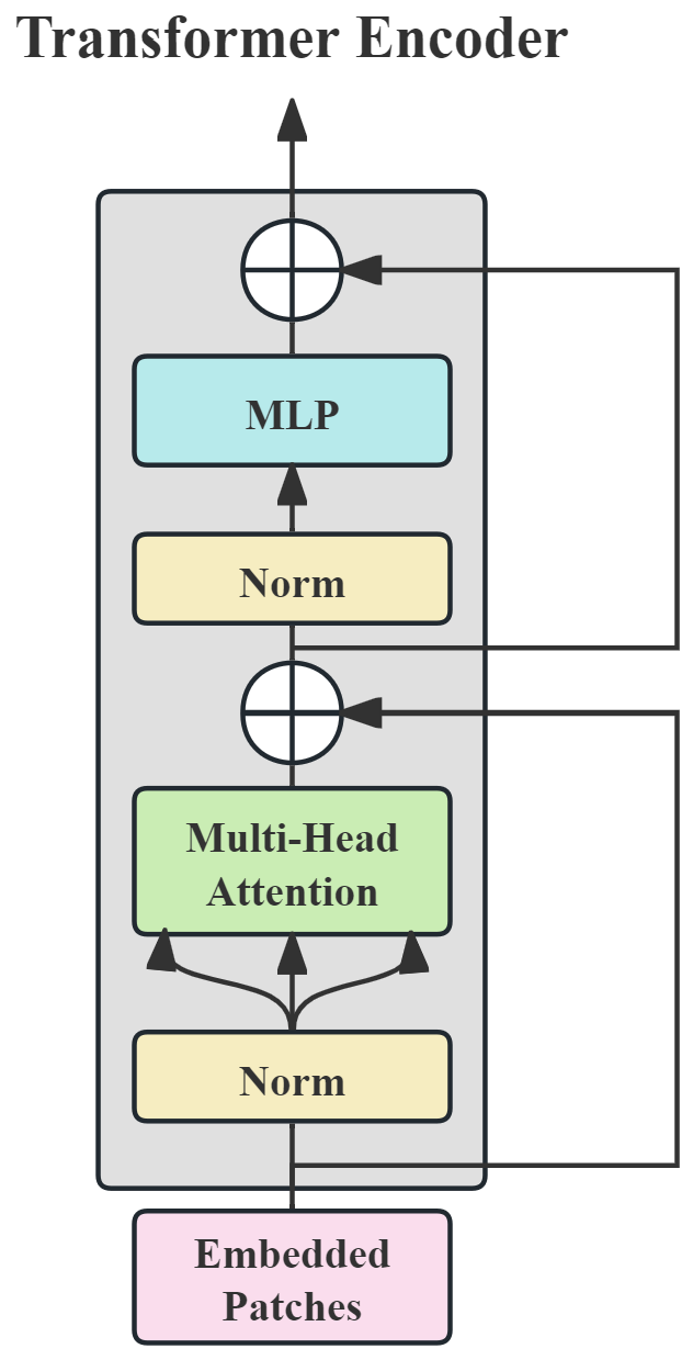 Brainsci 15 00509 g004