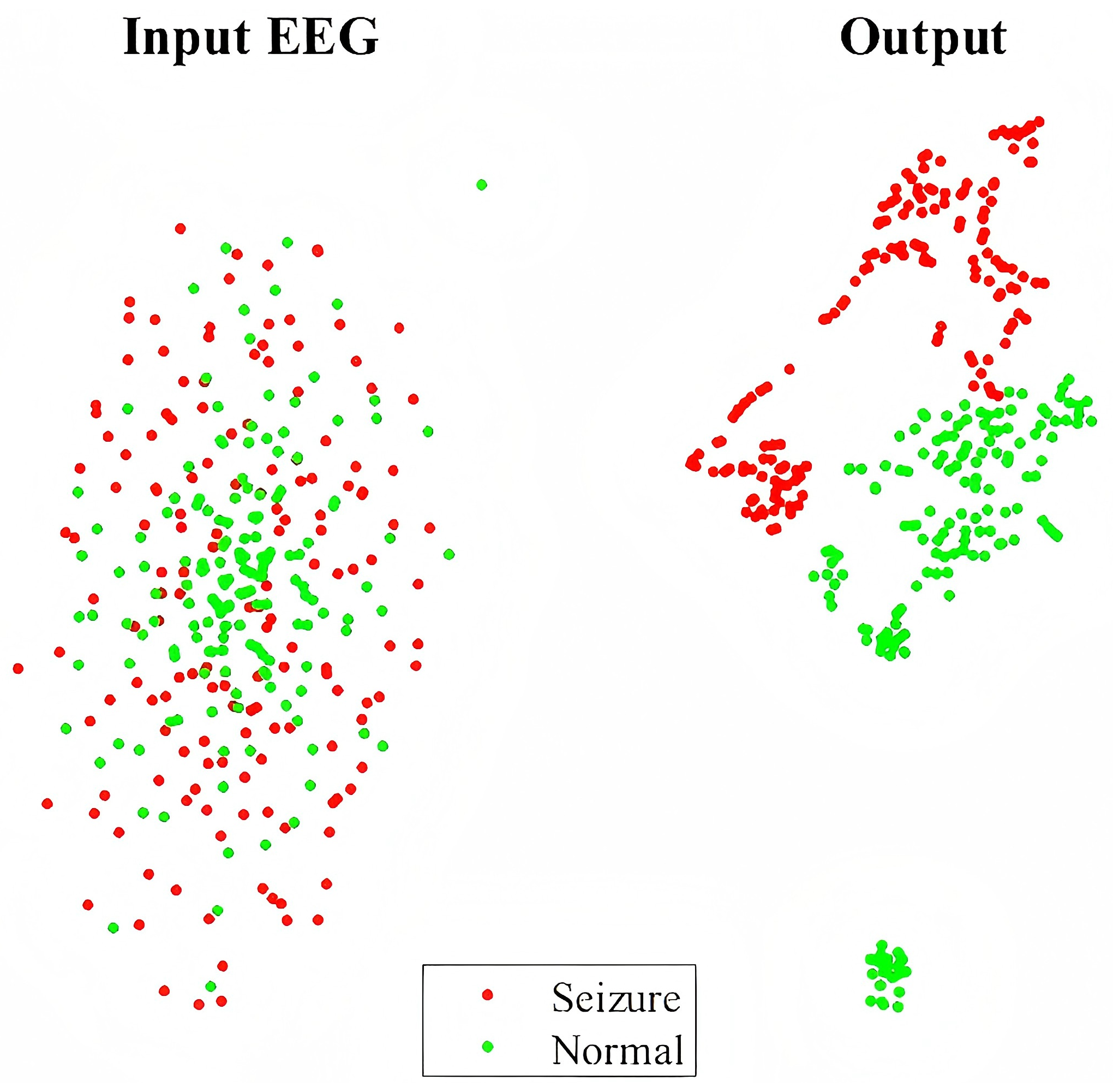 Brainsci 15 00509 g011