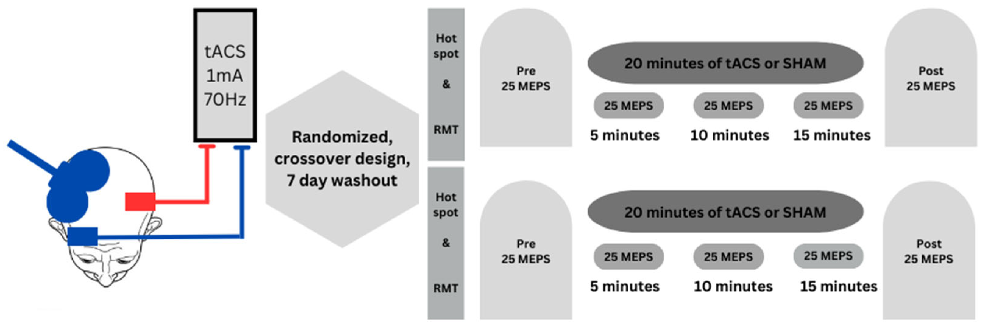Brainsci 15 00512 g001