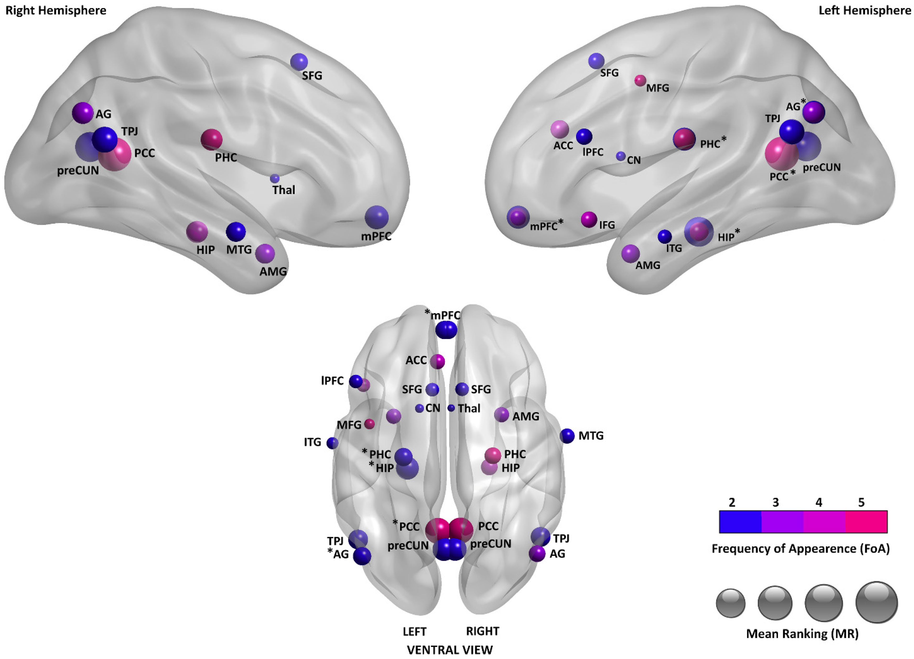 Brainsci 15 00515 g002
