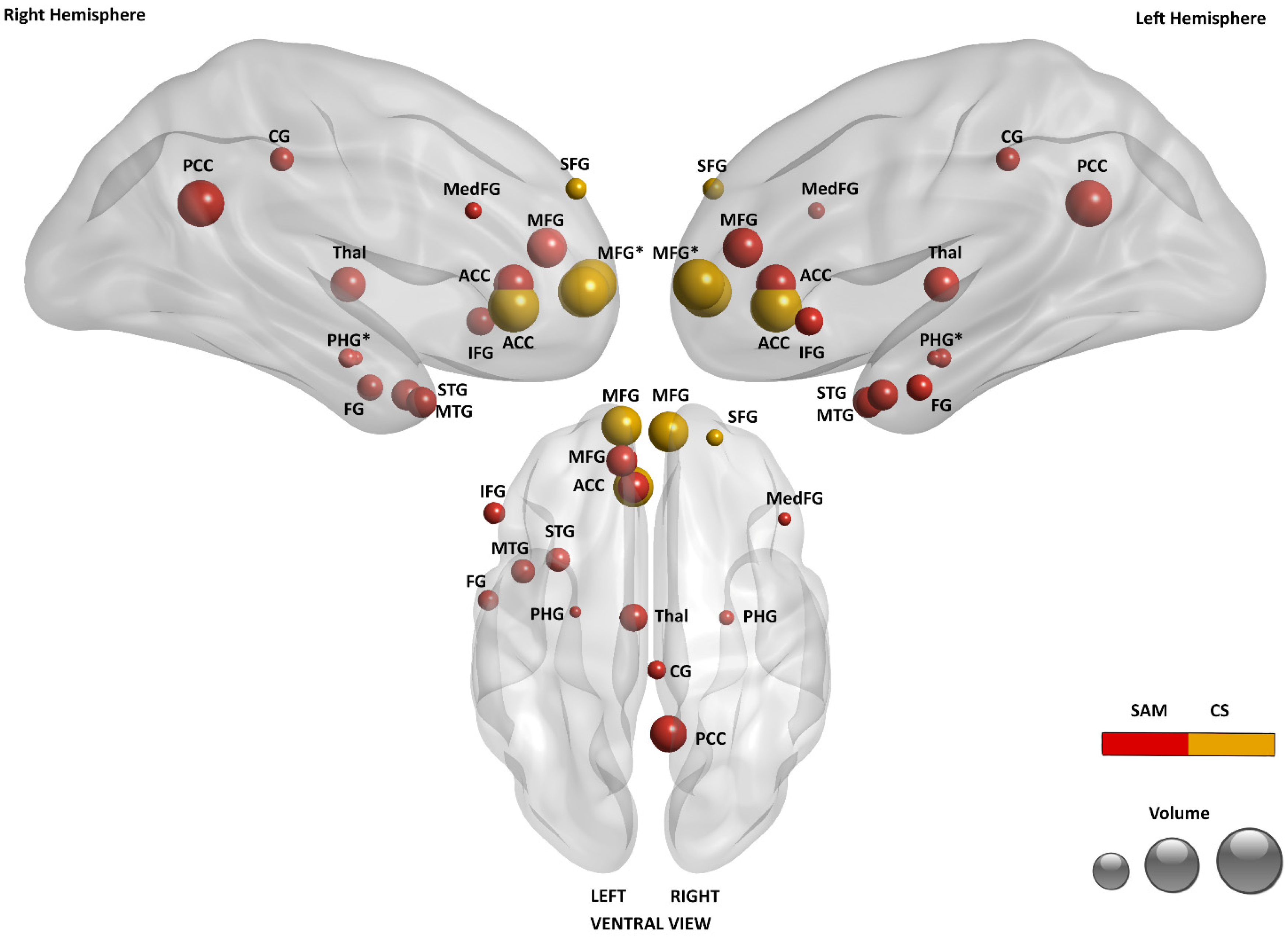 Brainsci 15 00515 g003