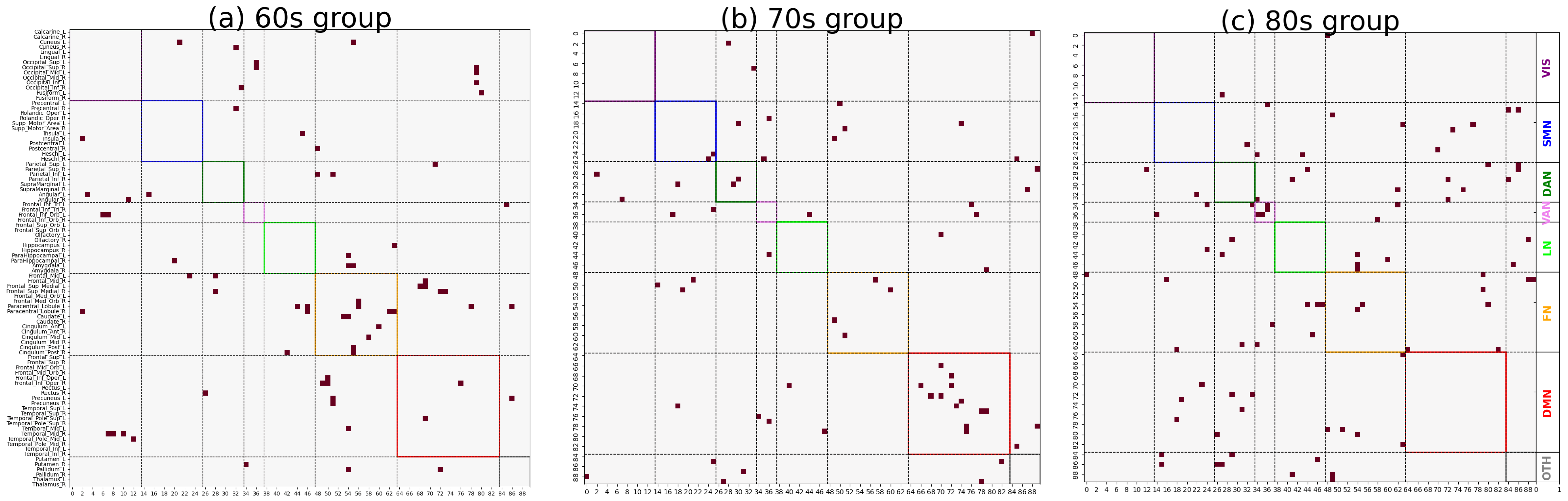 Brainsci 15 00517 g005