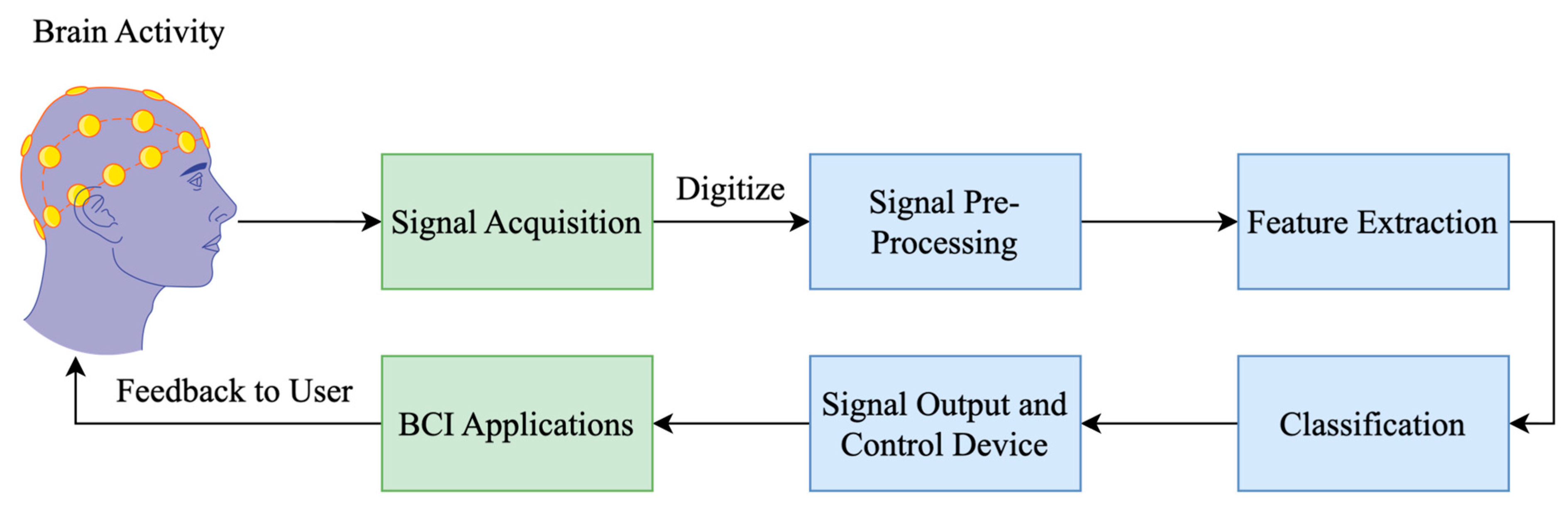 Brainsci 15 00519 g002