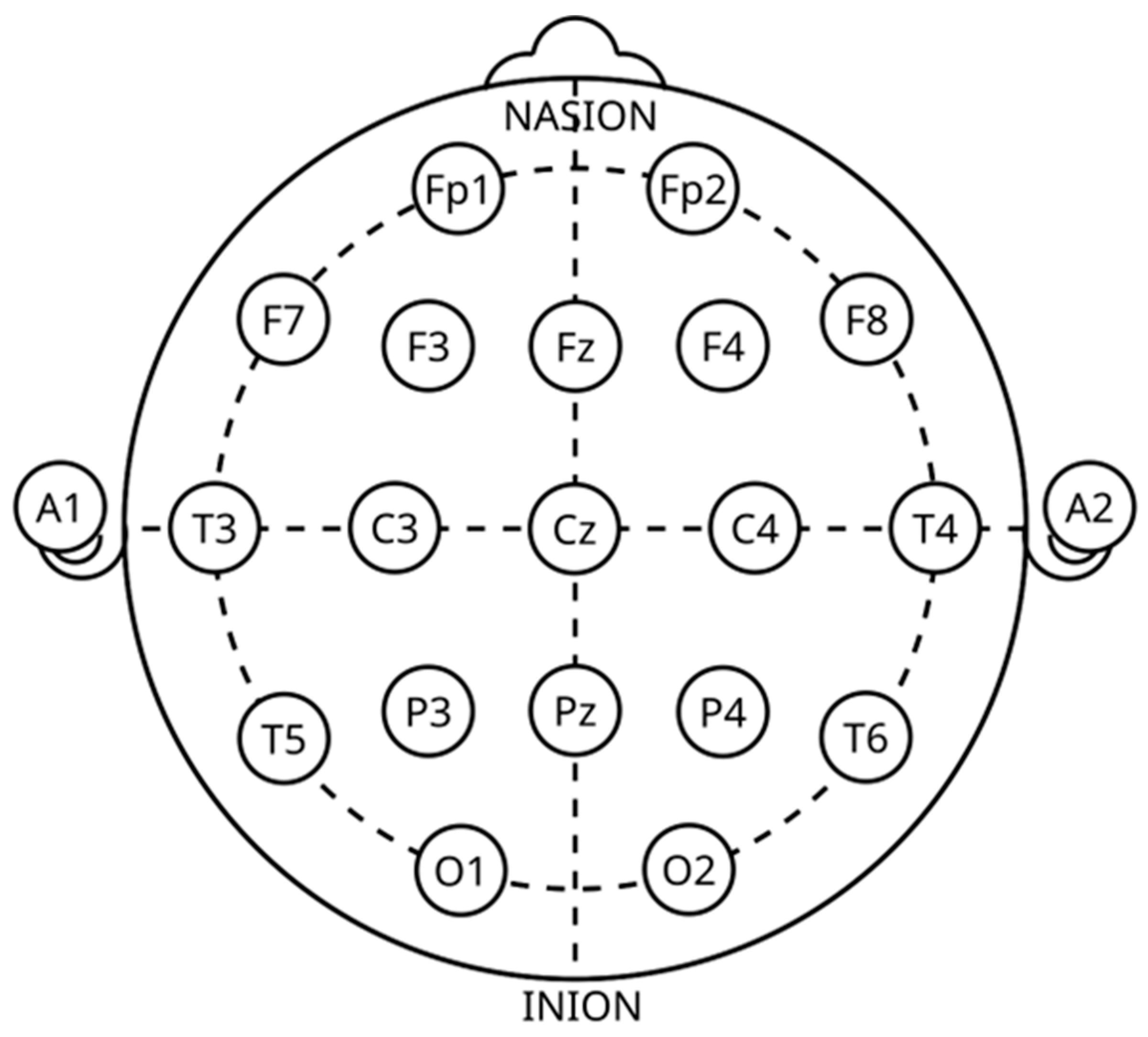 Brainsci 15 00519 g005
