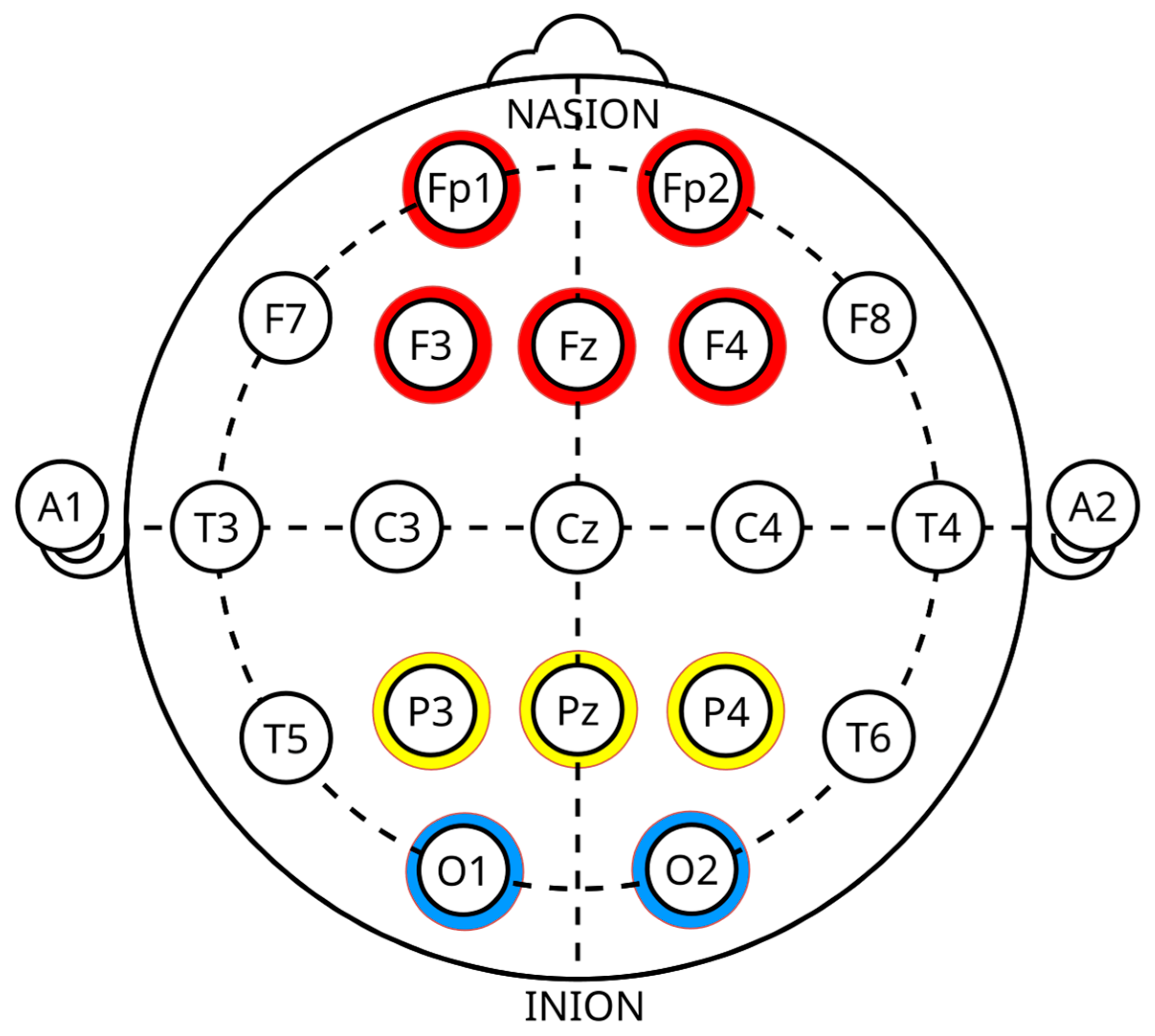 Brainsci 15 00519 g006