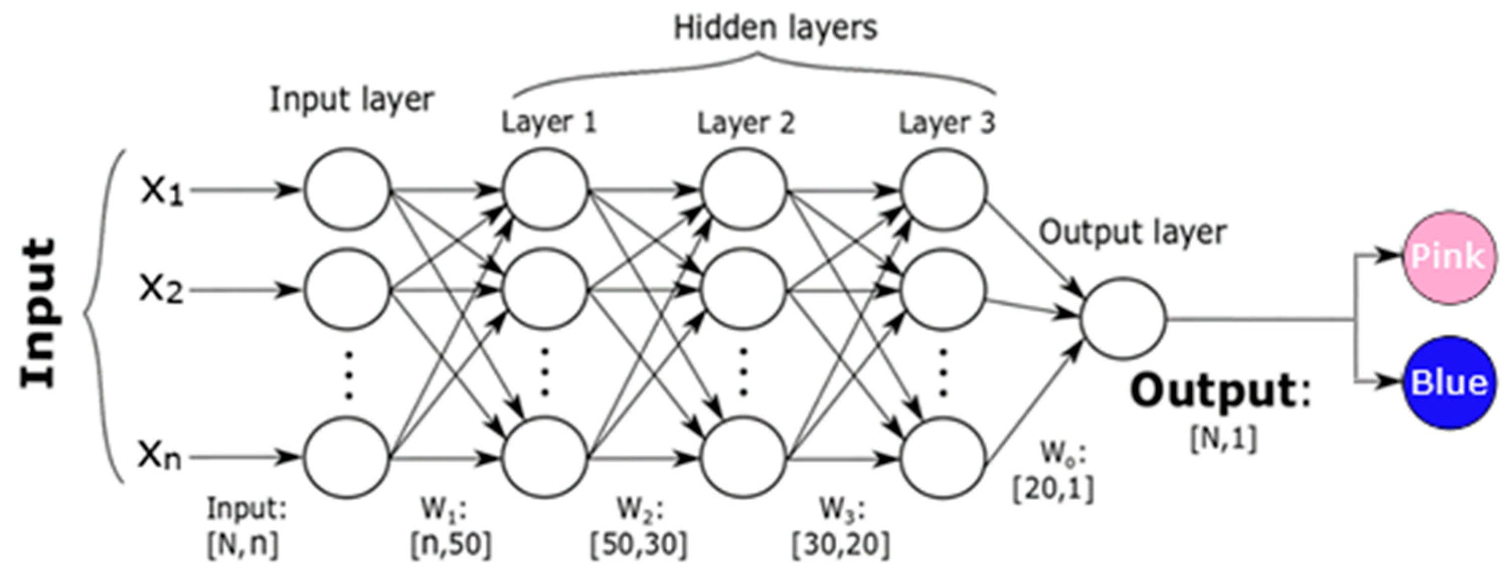 Brainsci 15 00520 g005 Brainsci 15 00520 g005