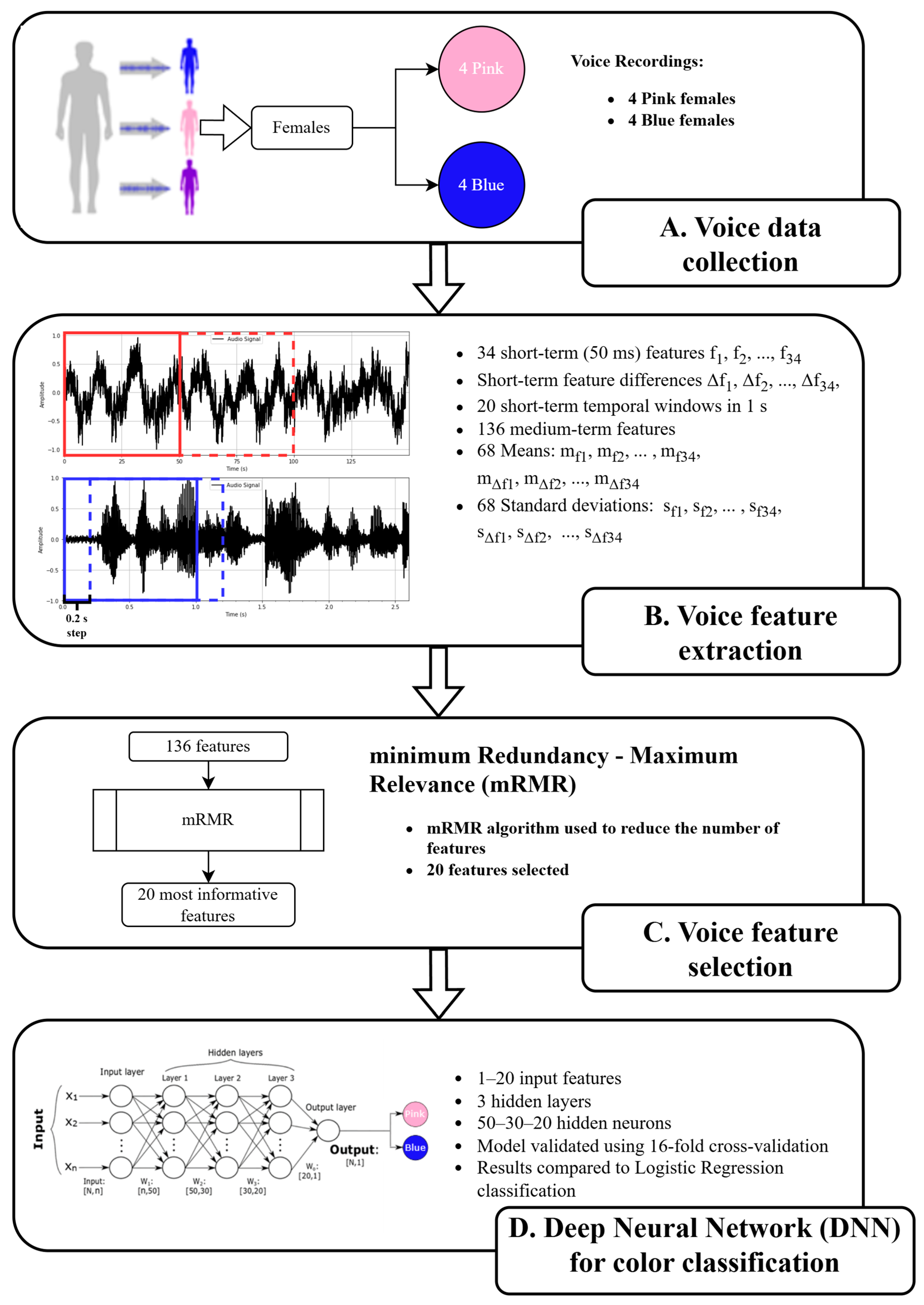 Brainsci 15 00520 g006 Brainsci 15 00520 g006