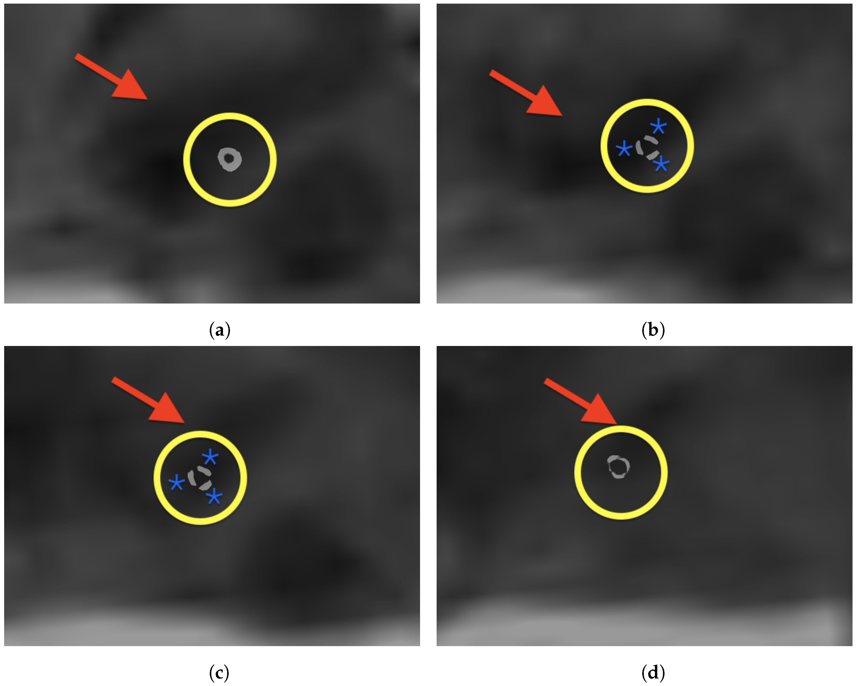 Brainsci 15 00521 g006