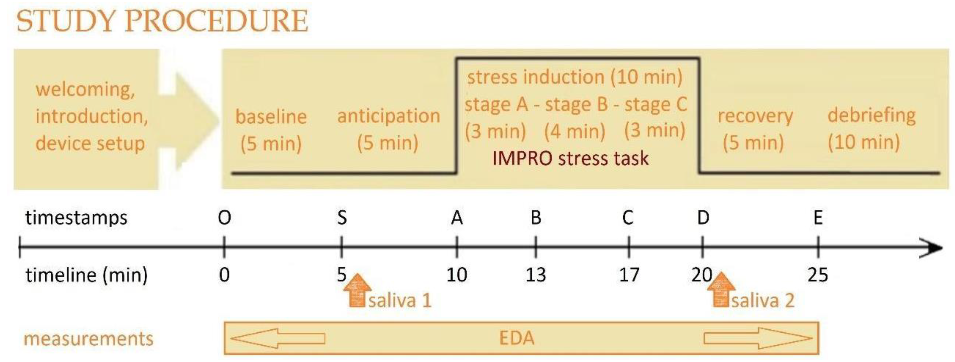 Brainsci 15 00522 g001