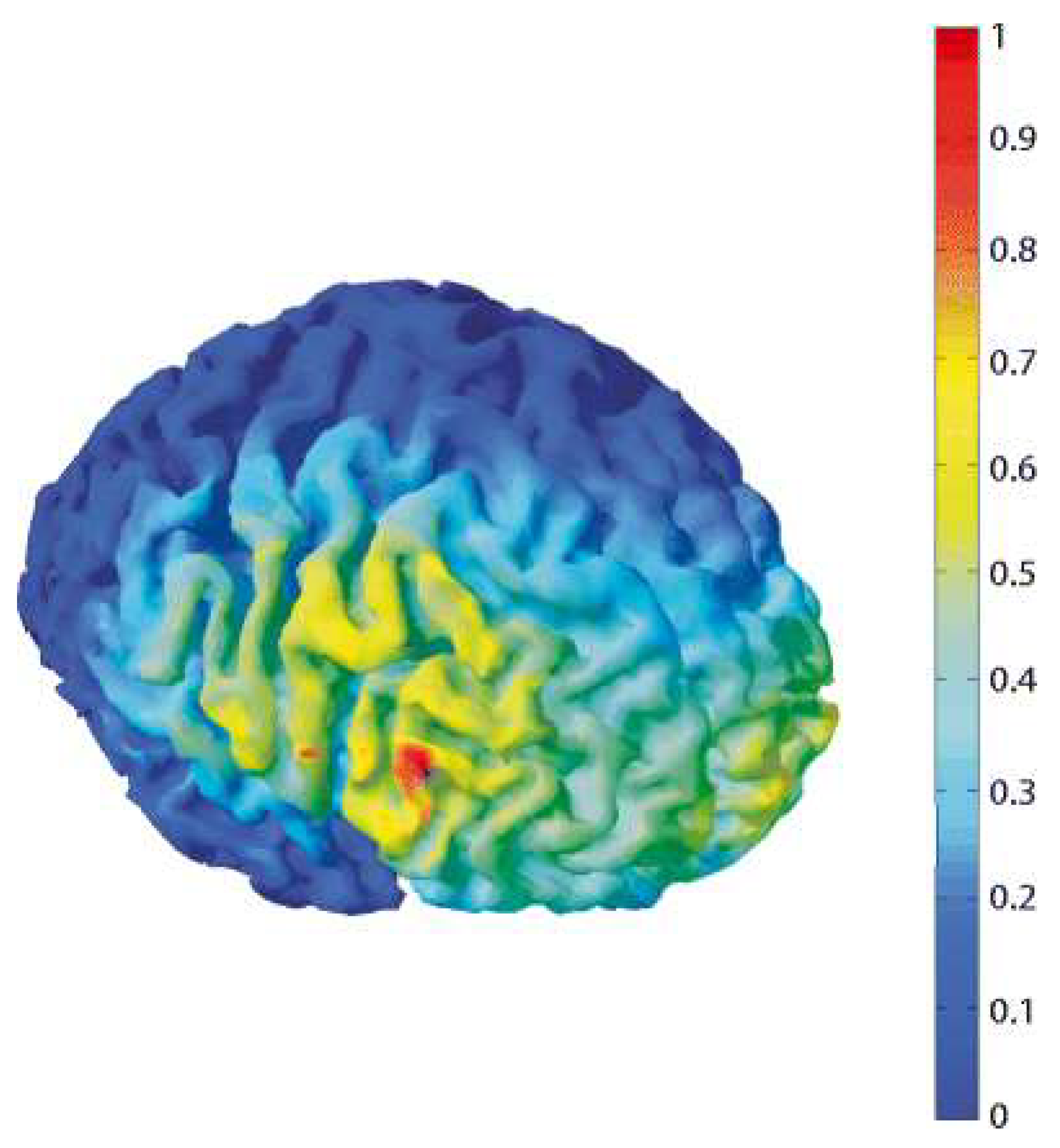 Brainsci 15 00530 g003