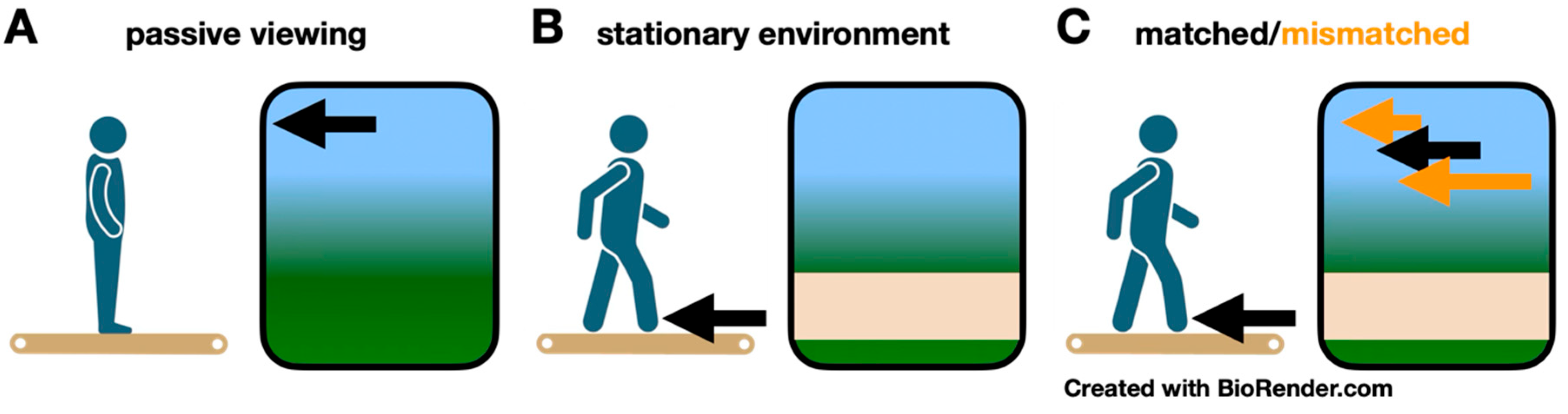 Brainsci 15 00531 g001