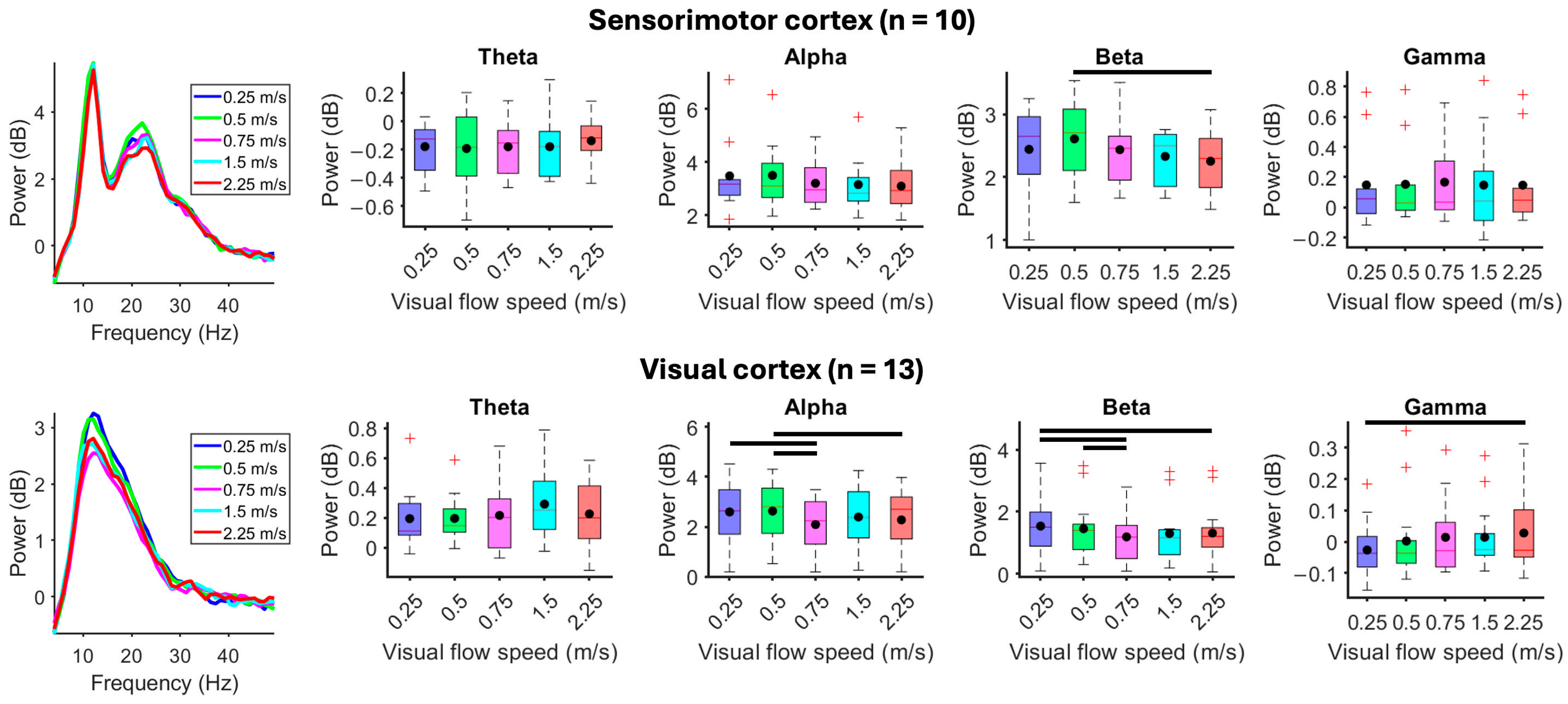 Brainsci 15 00531 g004