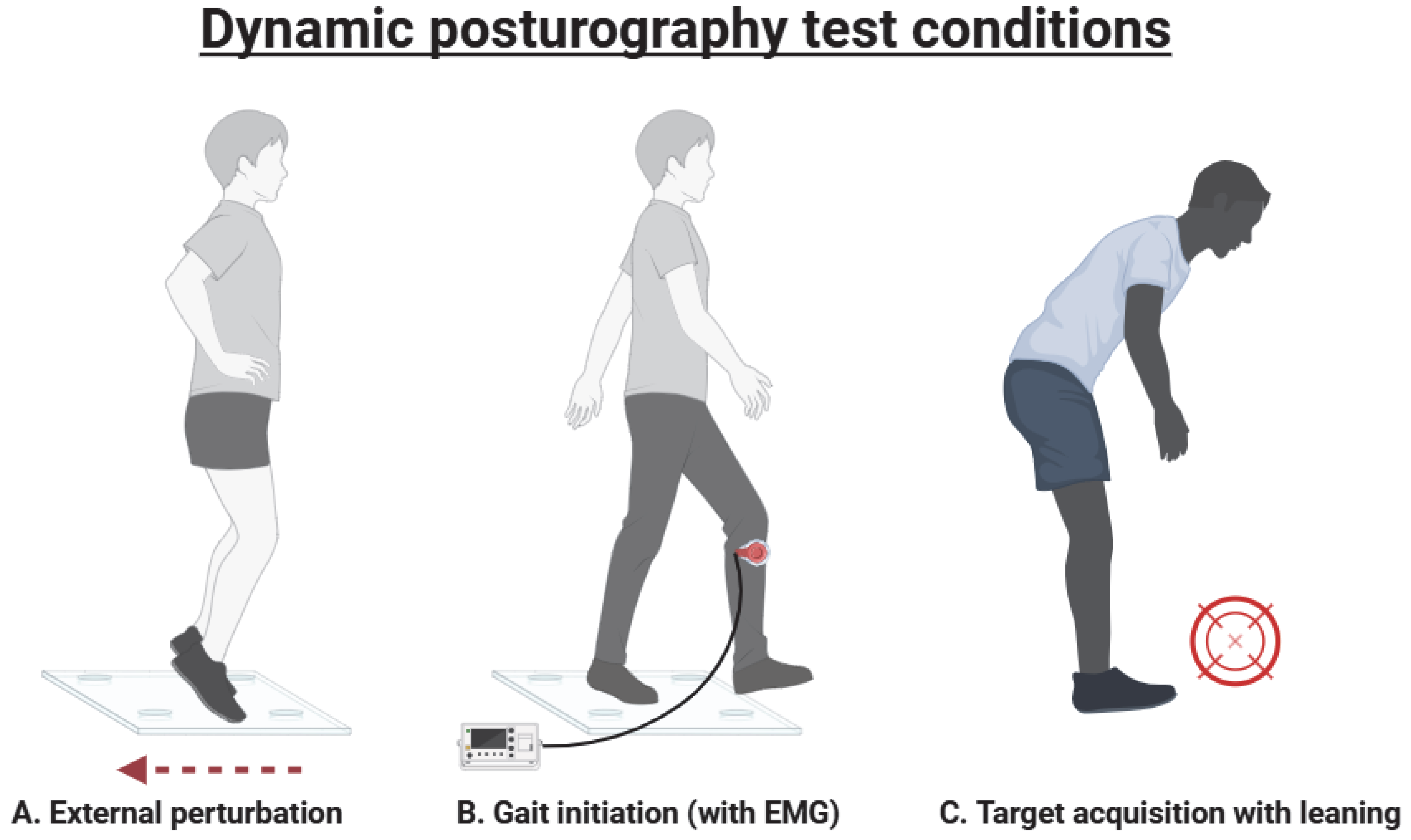 Brainsci 15 00535 g003