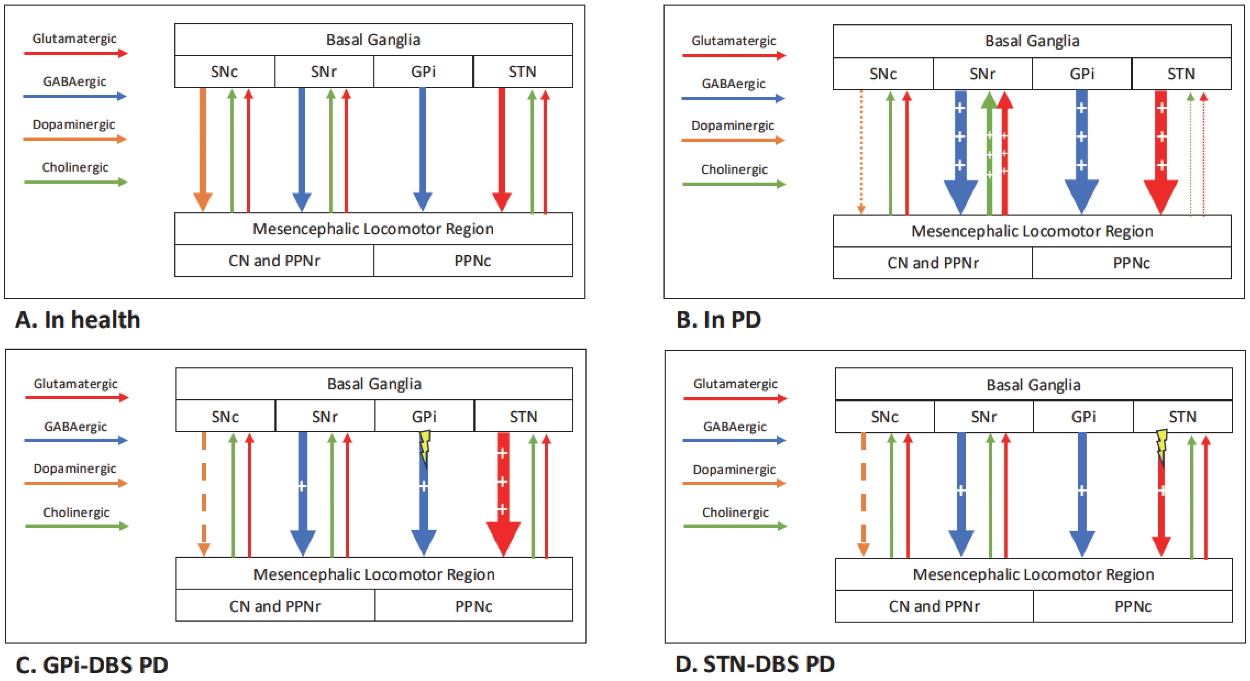 Brainsci 15 00535 g004
