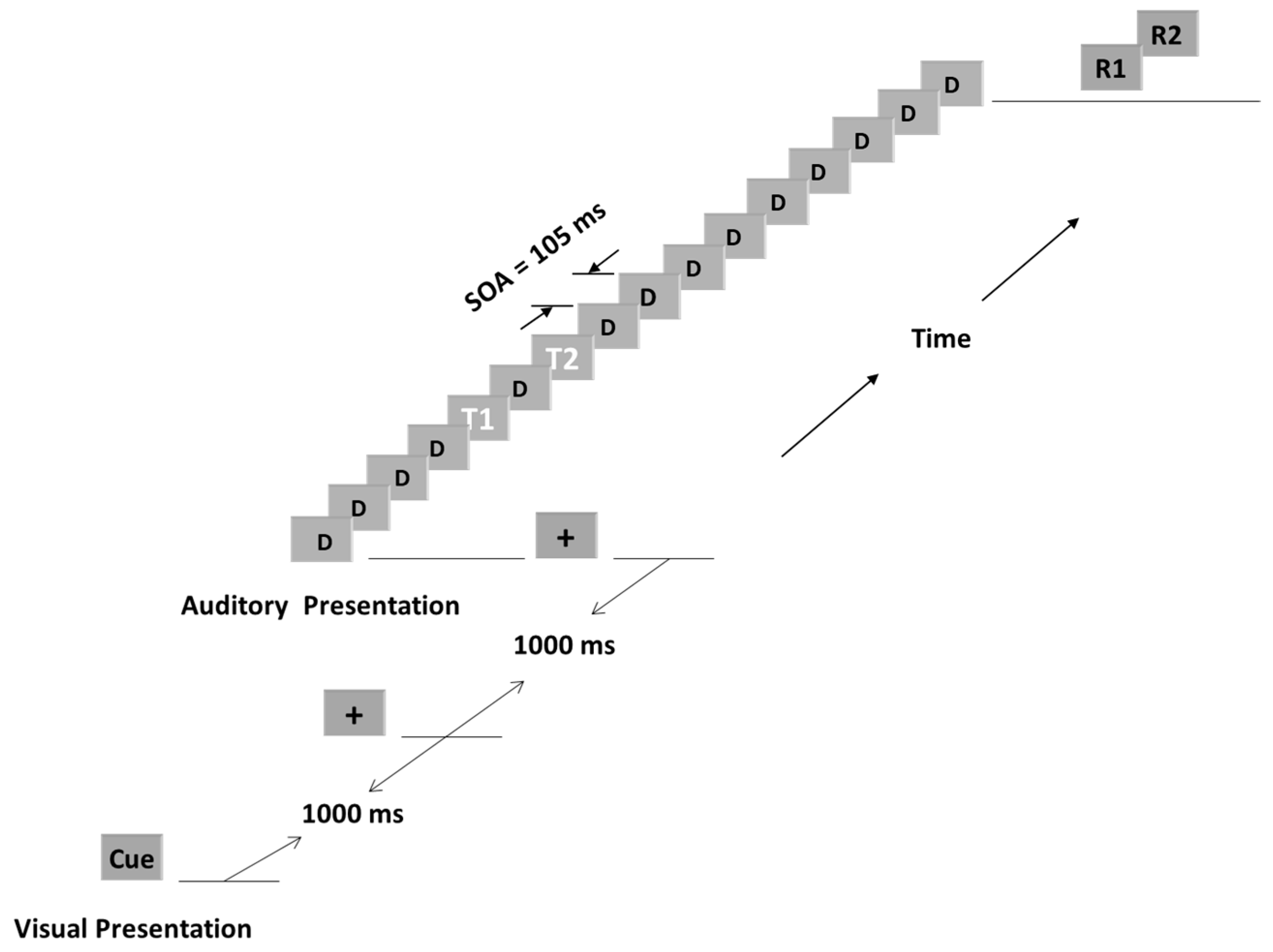 Brainsci 15 00537 g001